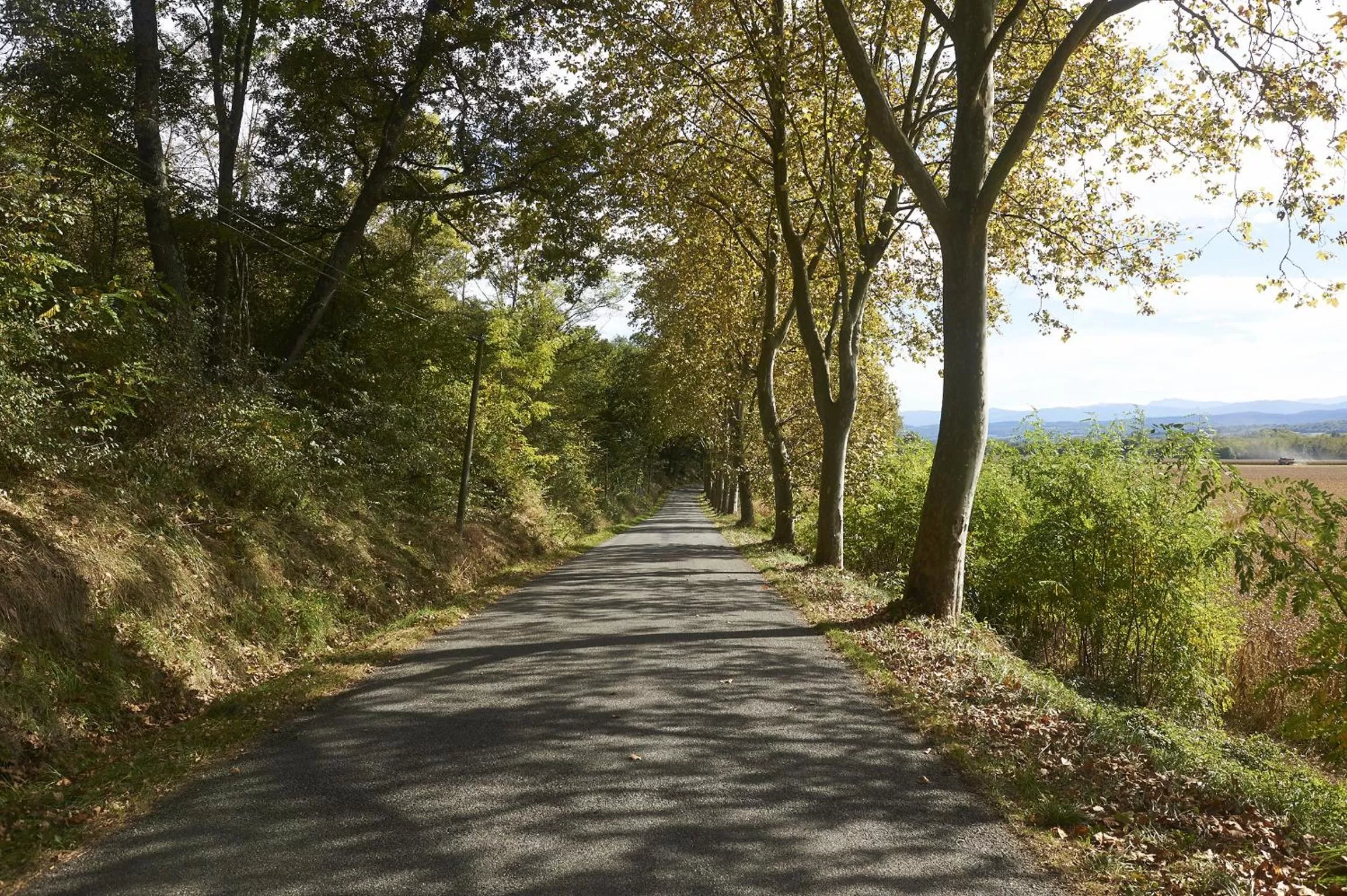 View (from property/room) in La Halte du Temps