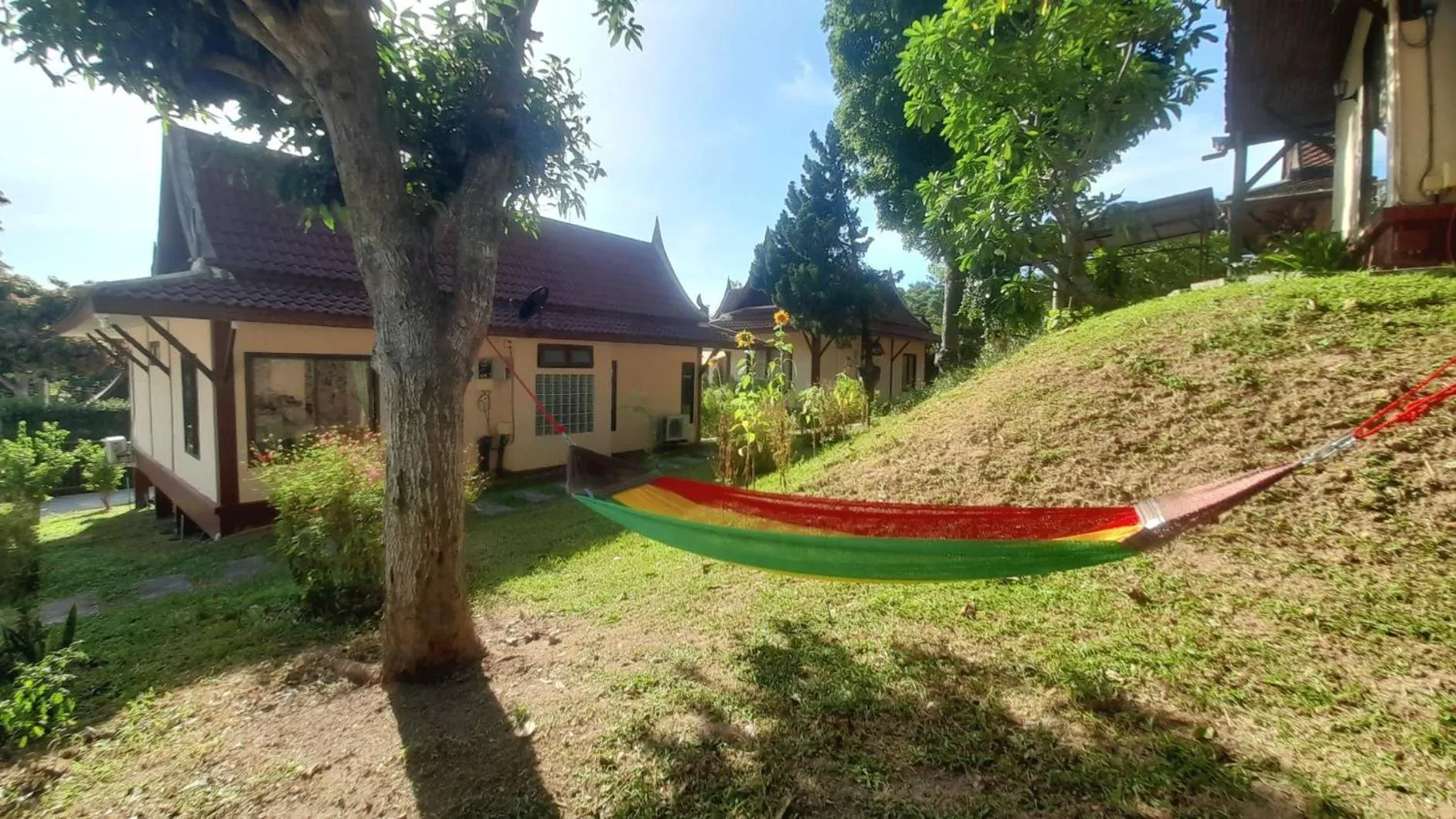 Property building, Swimming Pool in Samui Diving Resort