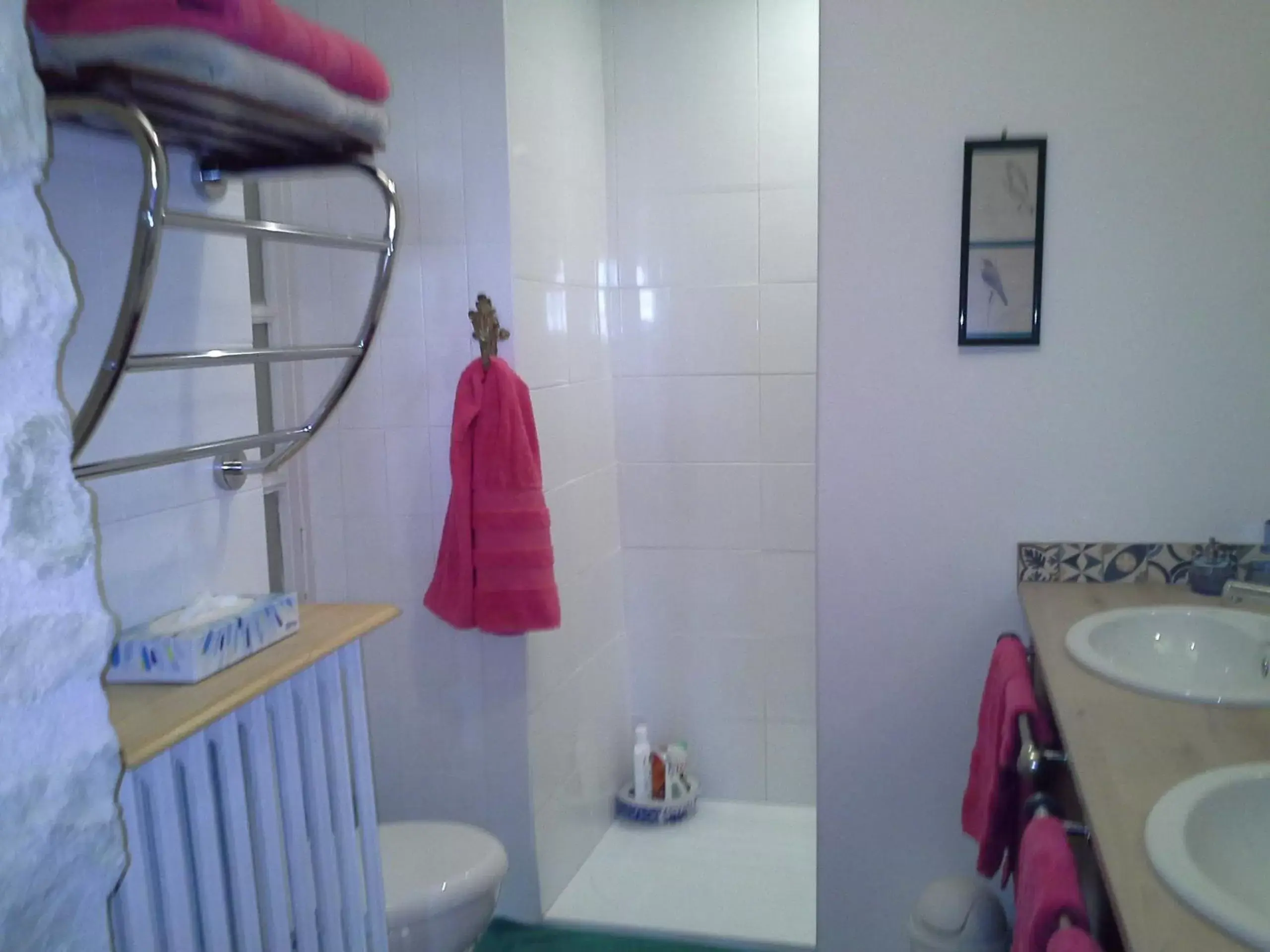 Shower, Bathroom in Le Logis De Ruelle