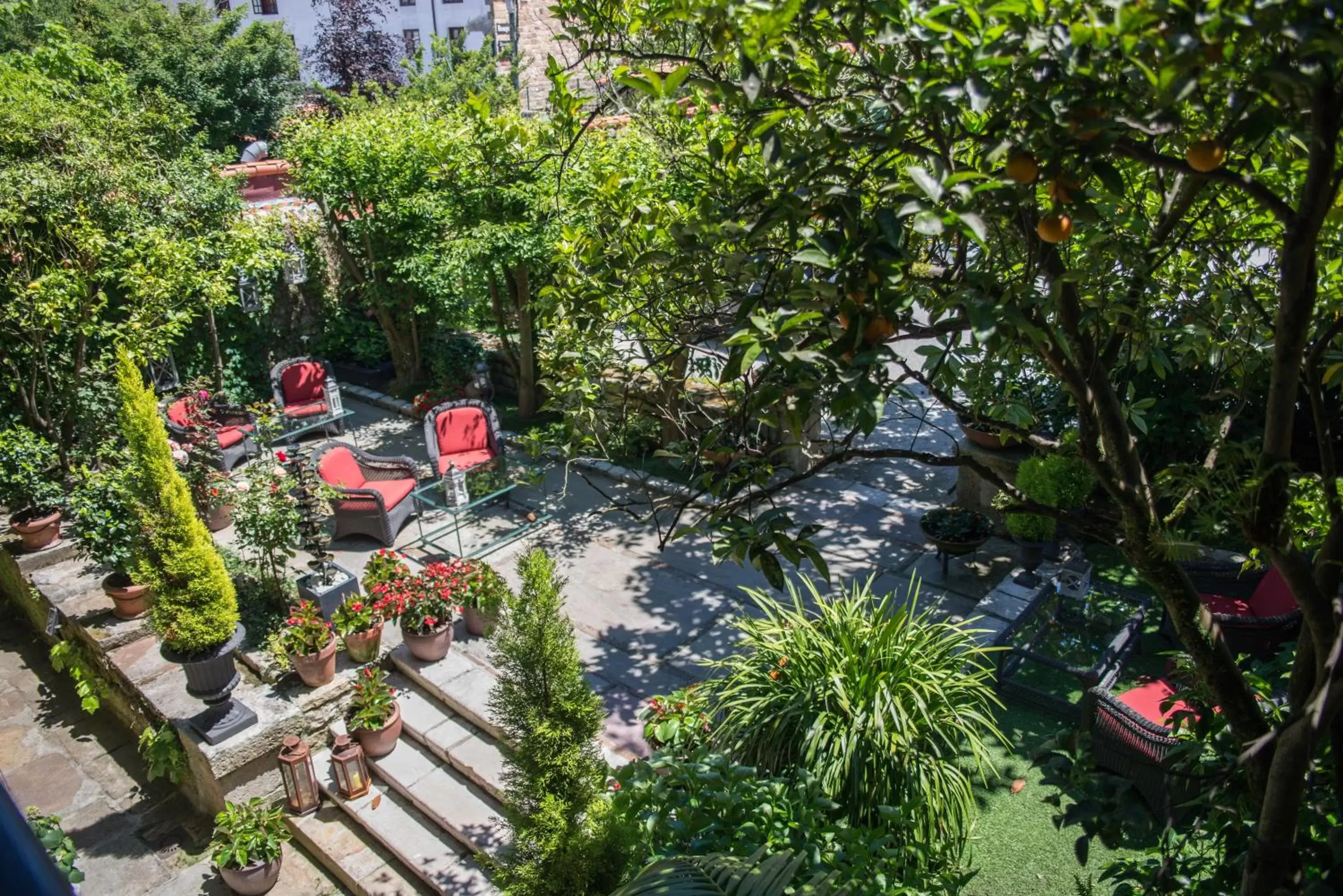 Garden in Hotel Casa del Marqués