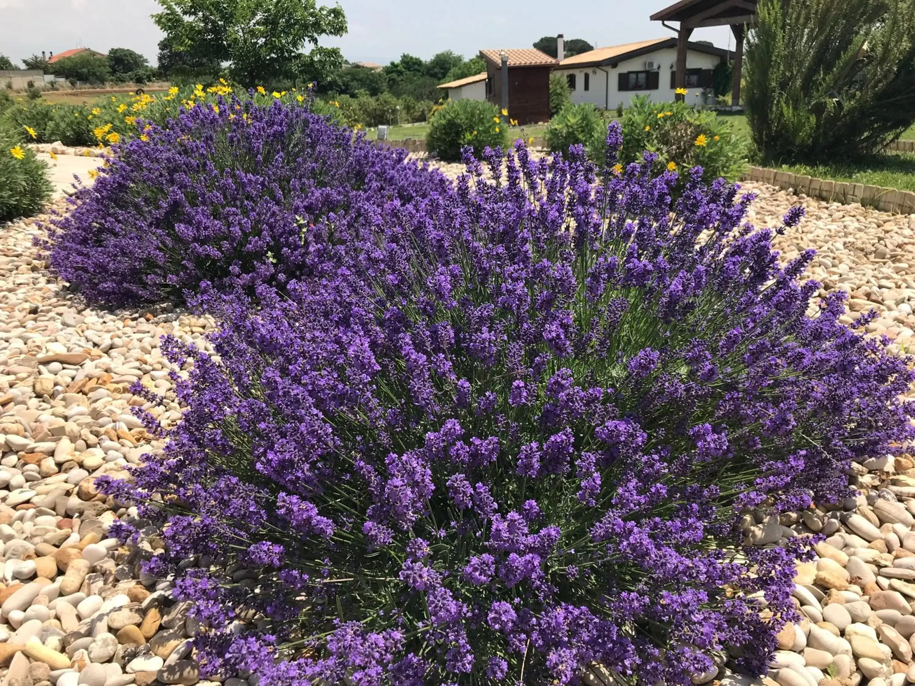 Garden in La collina delle fonti