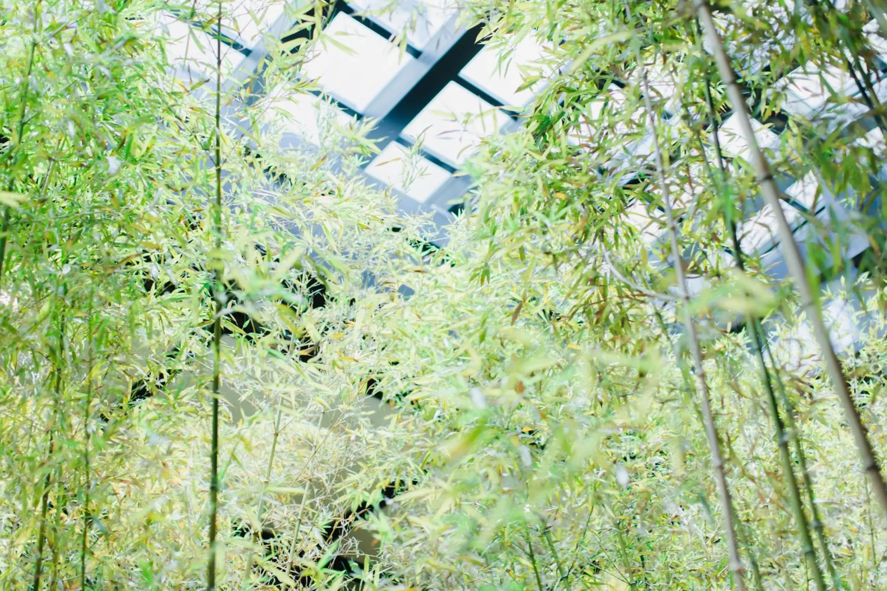 Property building in Dhawa Yura Kyoto Property building in Dhawa Yura Kyoto