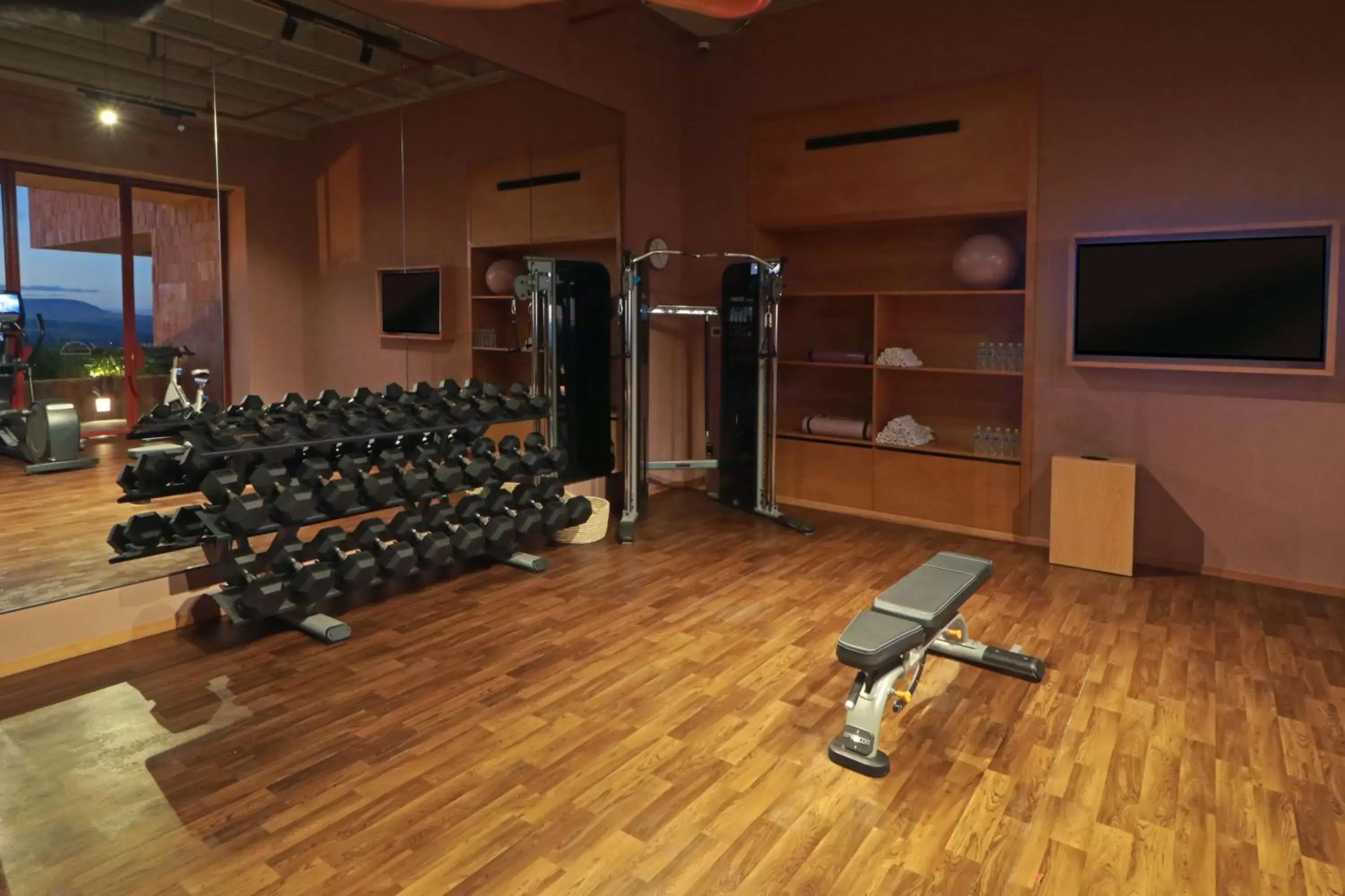 Fitness centre/facilities, Fitness Center/Facilities in Albor San Miguel de Allende, Tapestry Collection by Hilton