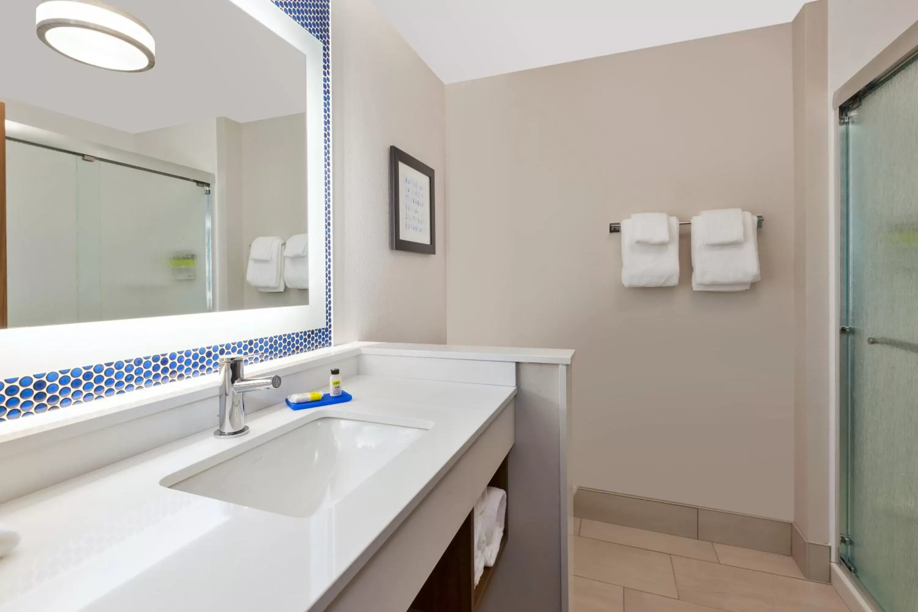 Bathroom in Holiday Inn Express- Eau Claire West I-94, an IHG Hotel