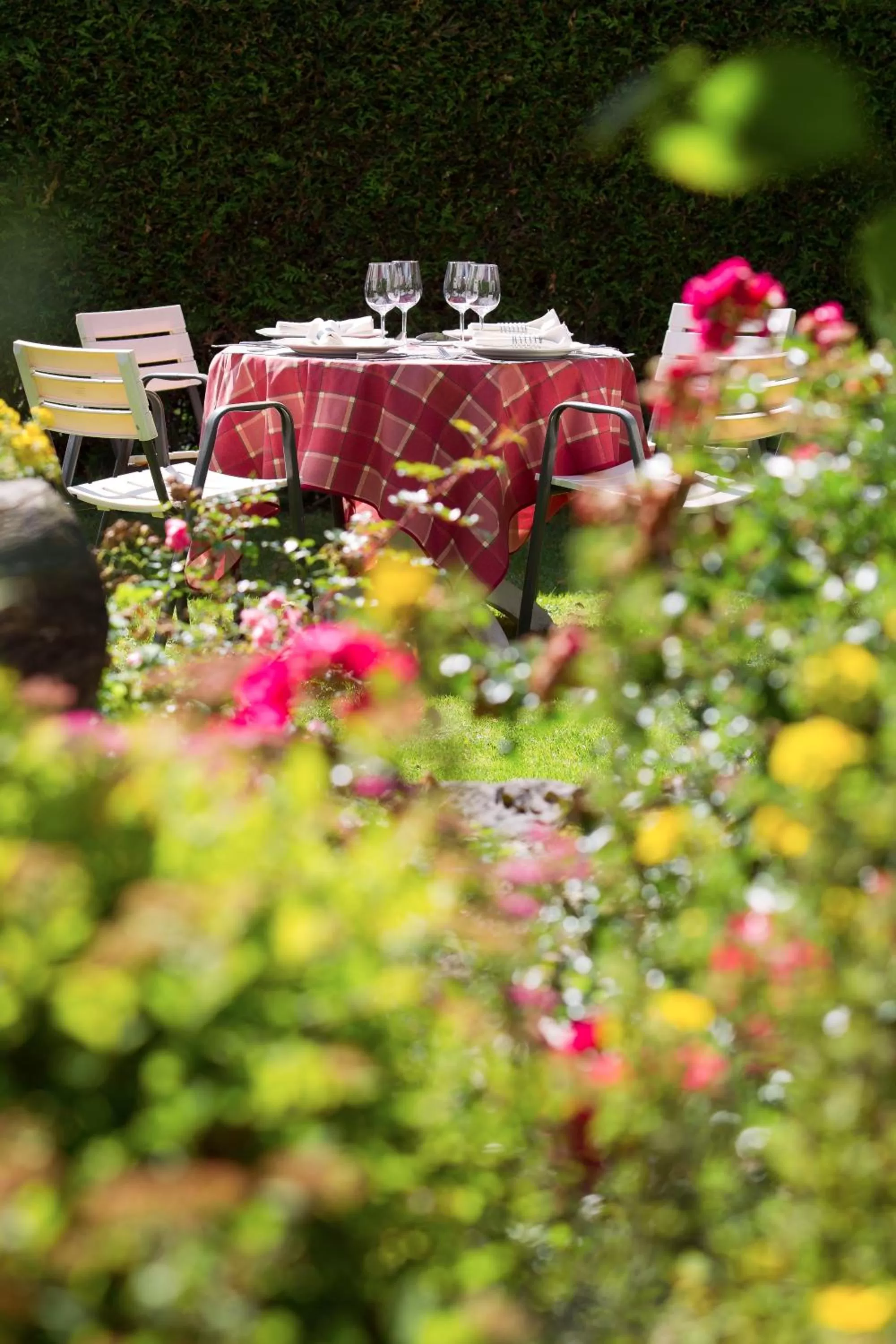 Garden in Hôtel Le Sporting