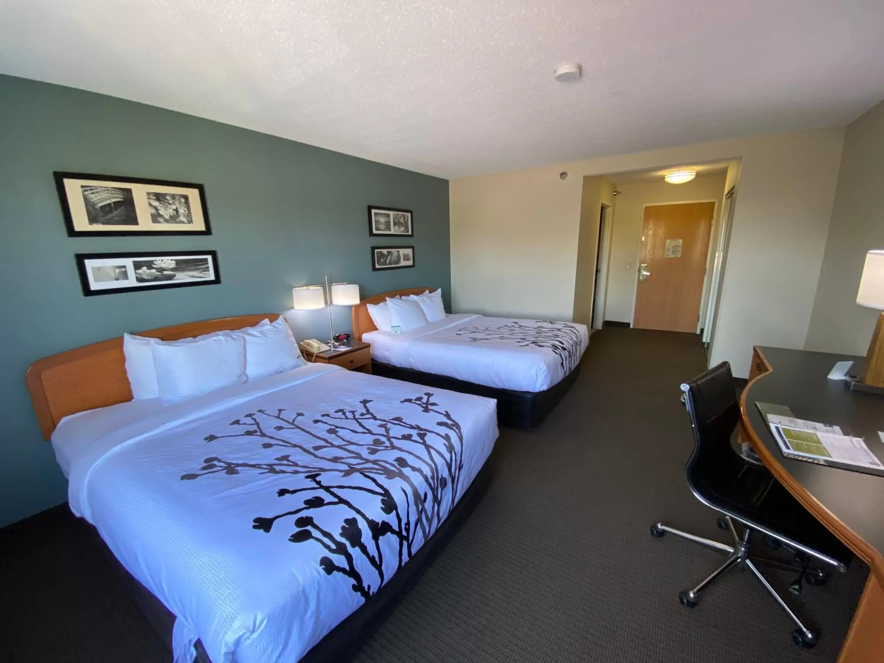 Bedroom, Bed in Sleep Inn and Suites Davenport