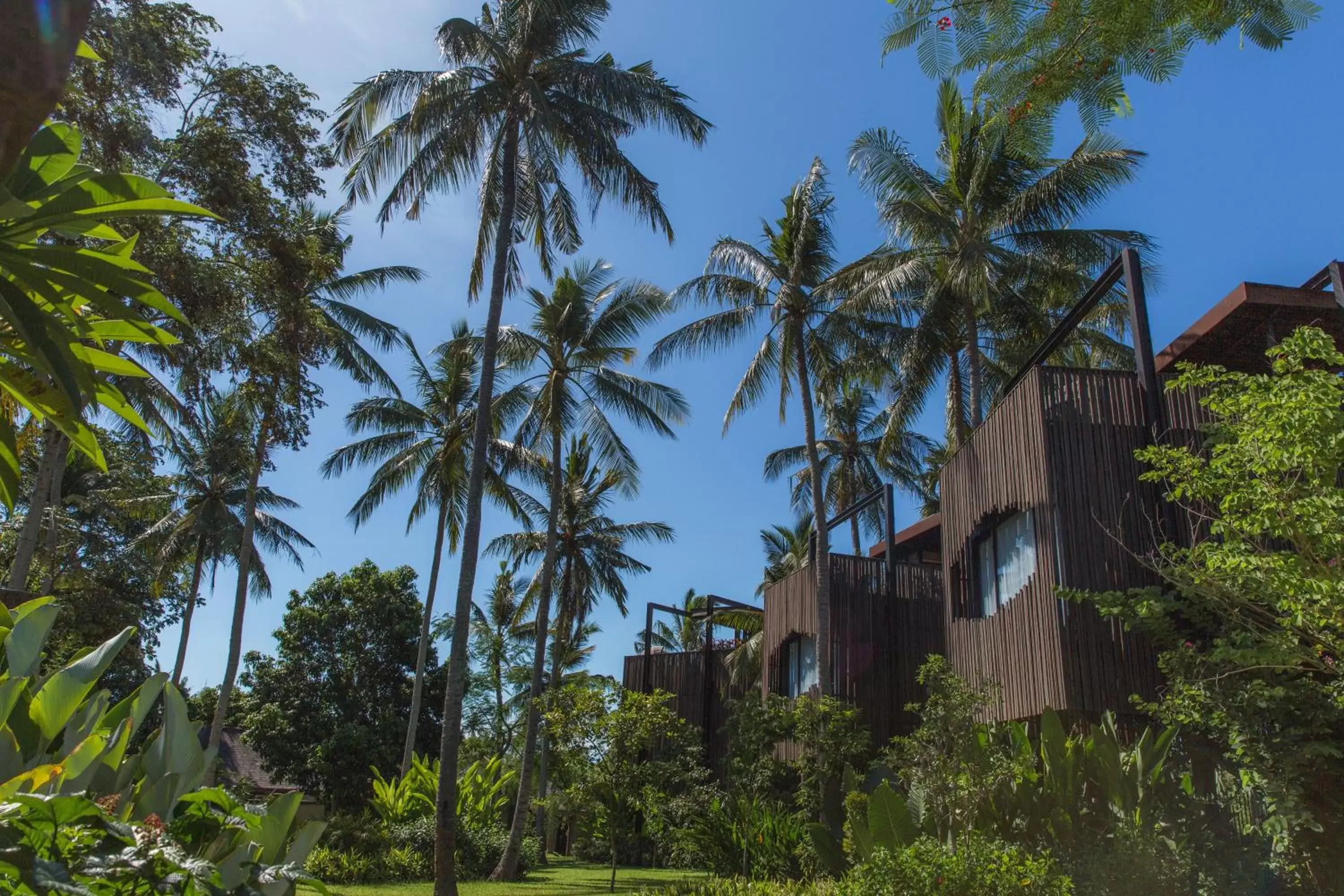 Facade/entrance in Nirjhara Facade/entrance in Nirjhara