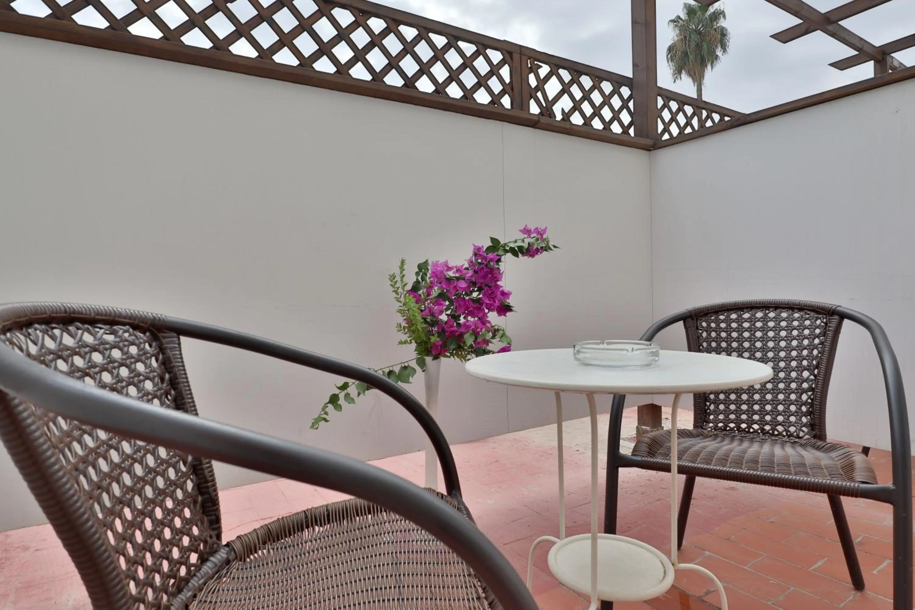 Balcony/Terrace in Hotel Oasis