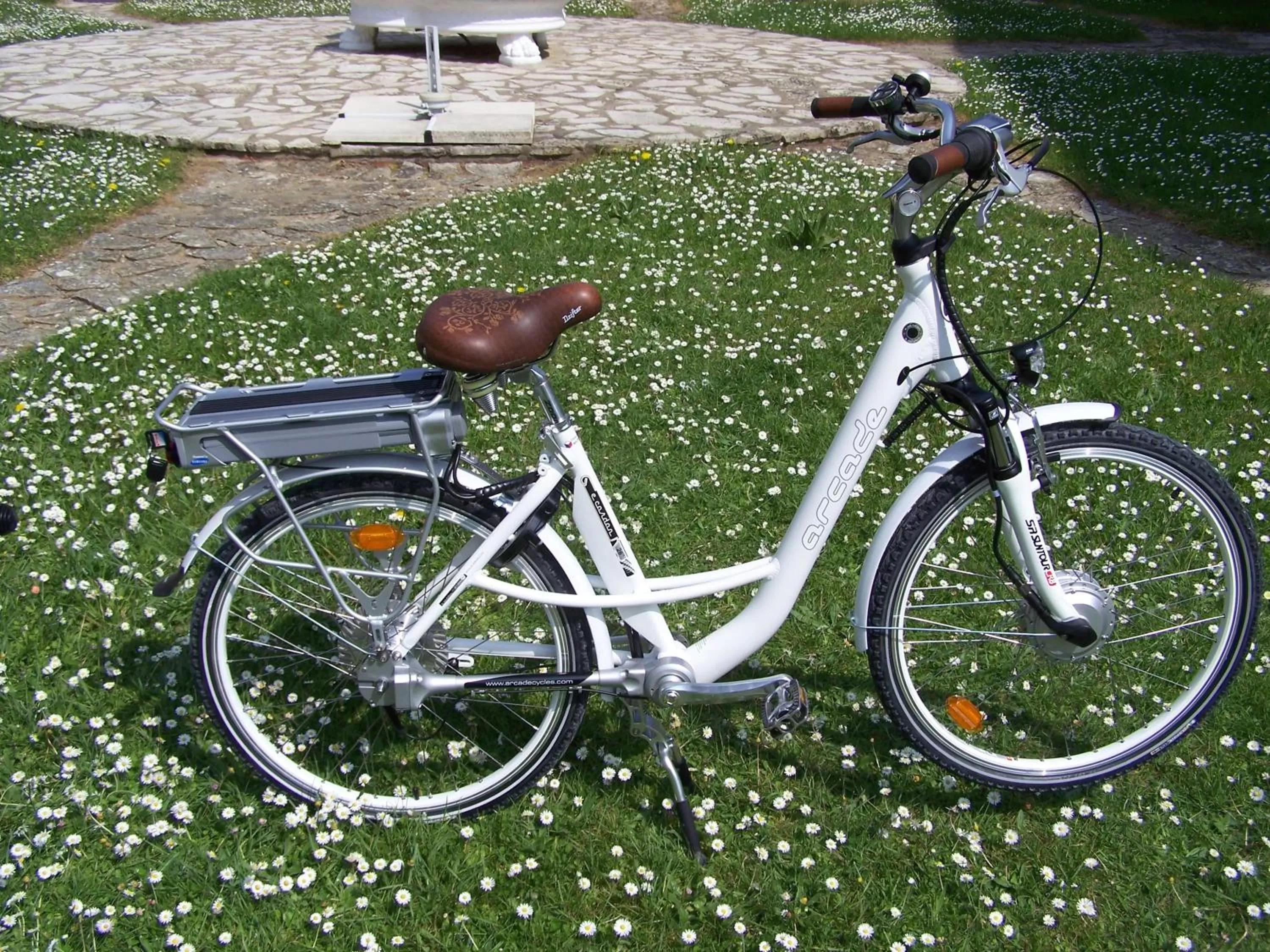 Garden in Hôtel Le Verger