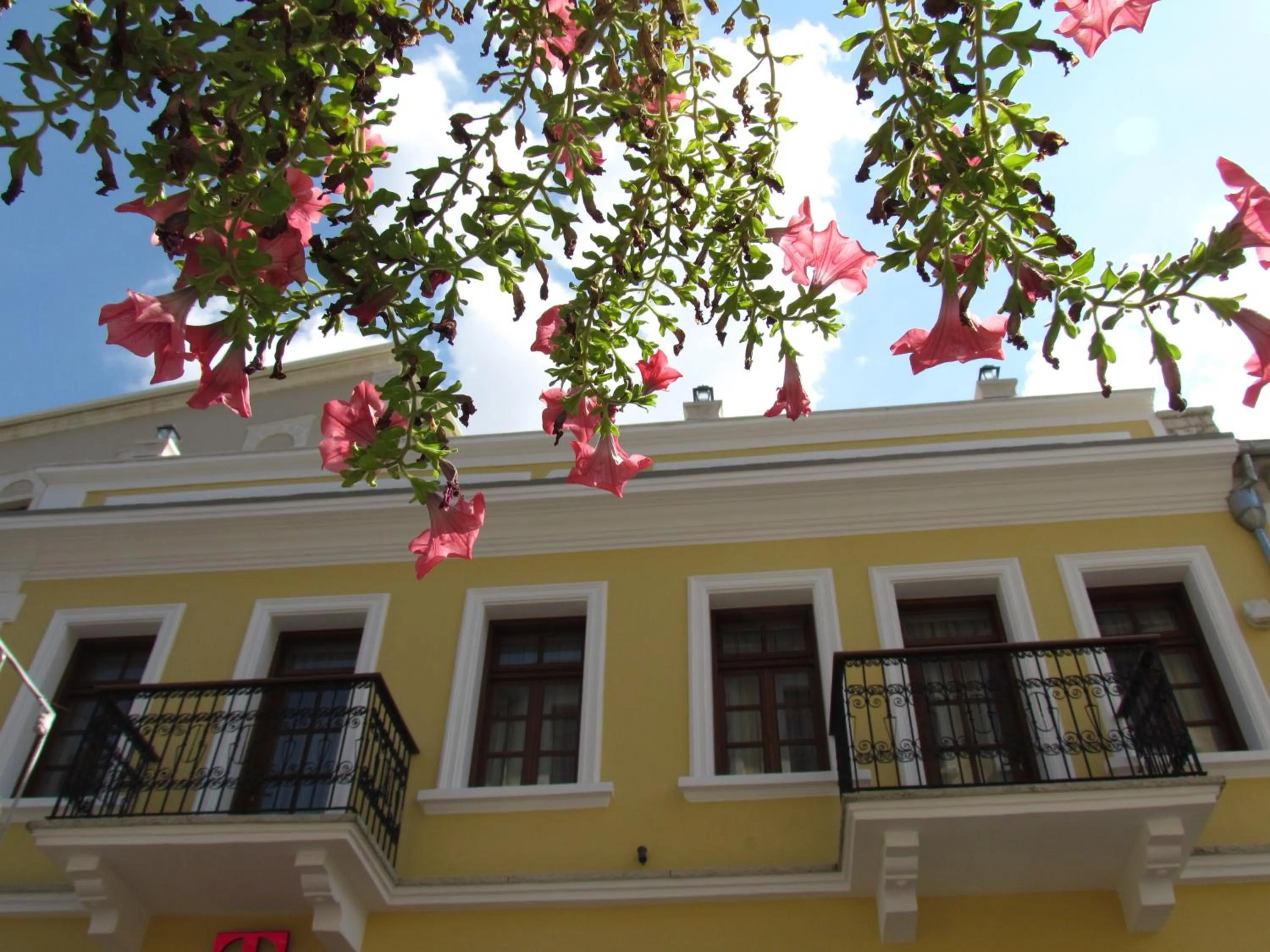 View (from property/room) in Hotel Argjiro