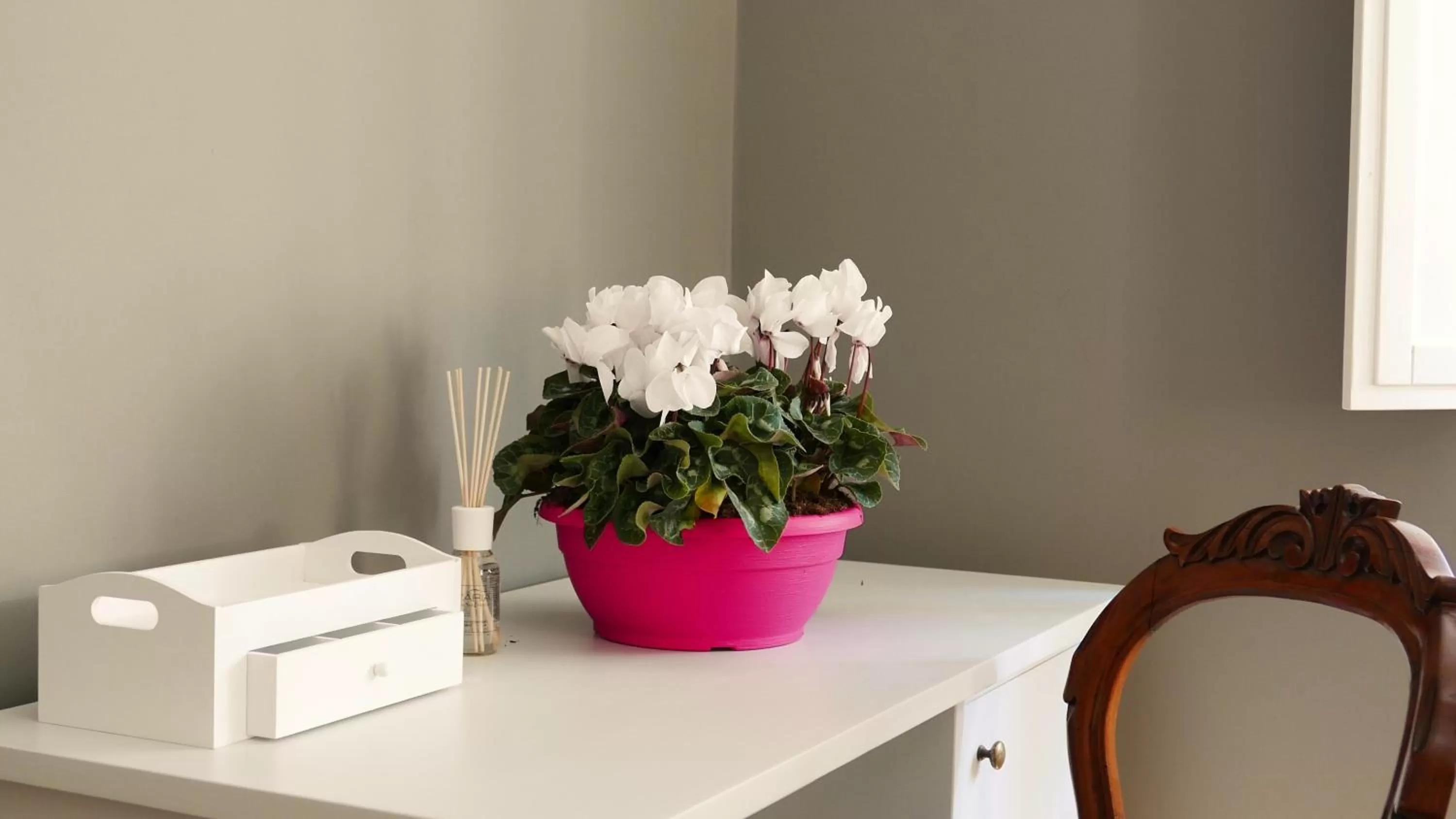 Day in B&B Residenza Maiano