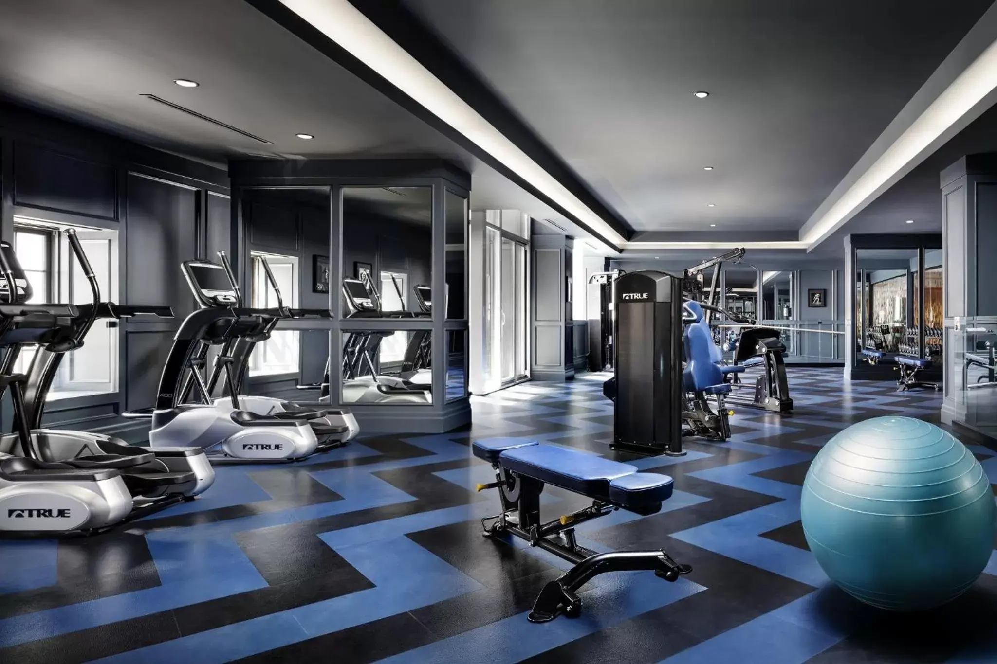 Fitness centre/facilities, Fitness Center/Facilities in Bisha Hotel Toronto