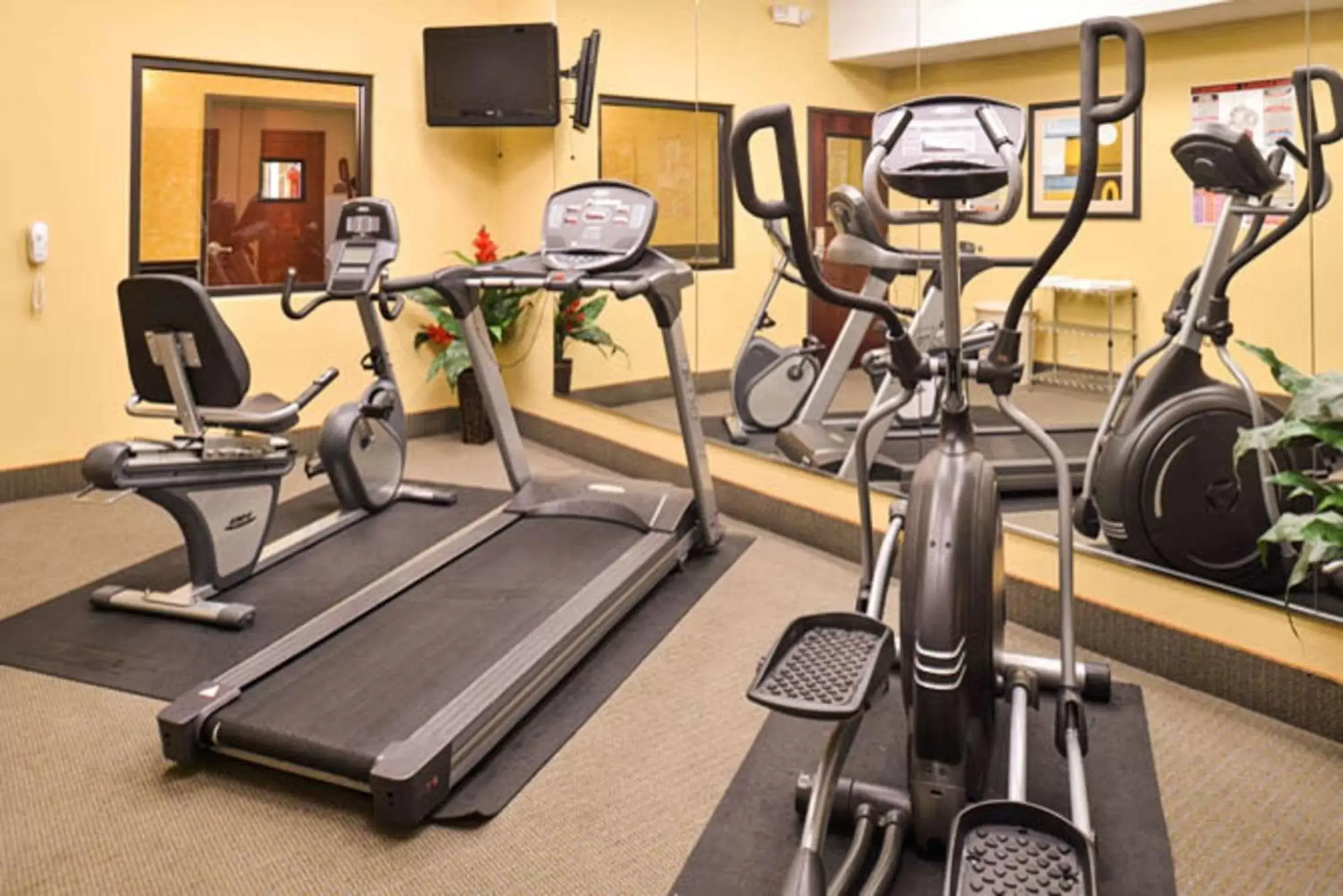 Fitness centre/facilities, Fitness Center/Facilities in Sleep Inn and Suites Downtown Houston