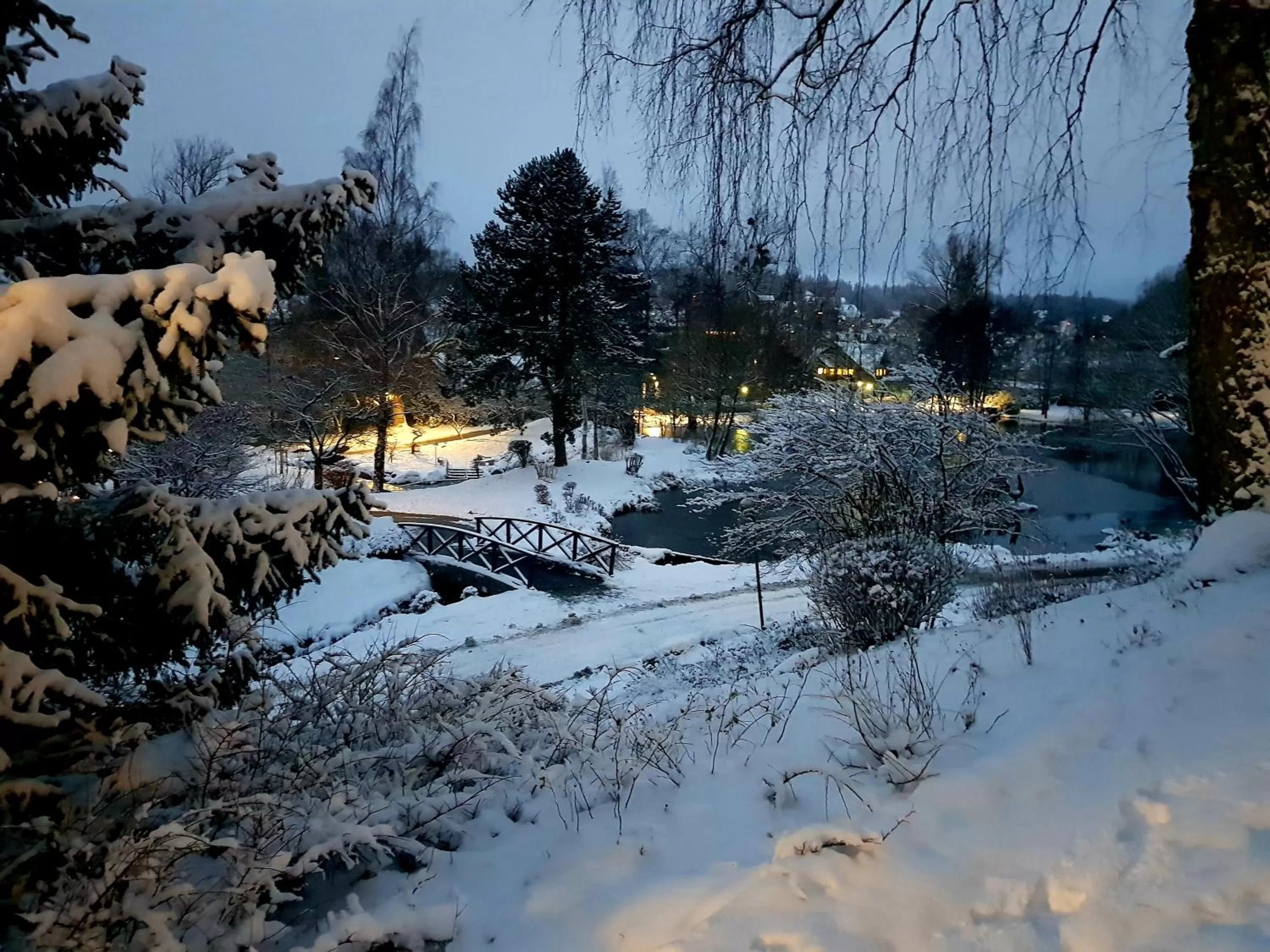 Natural landscape, Winter in Hotel Elisabeth-Ilse