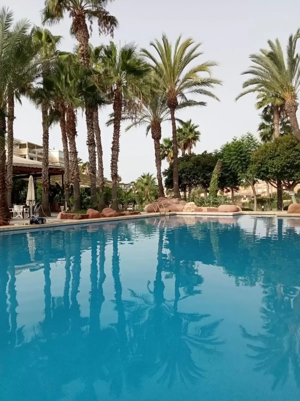 Lake view, Swimming Pool in Hotel Alicante Golf