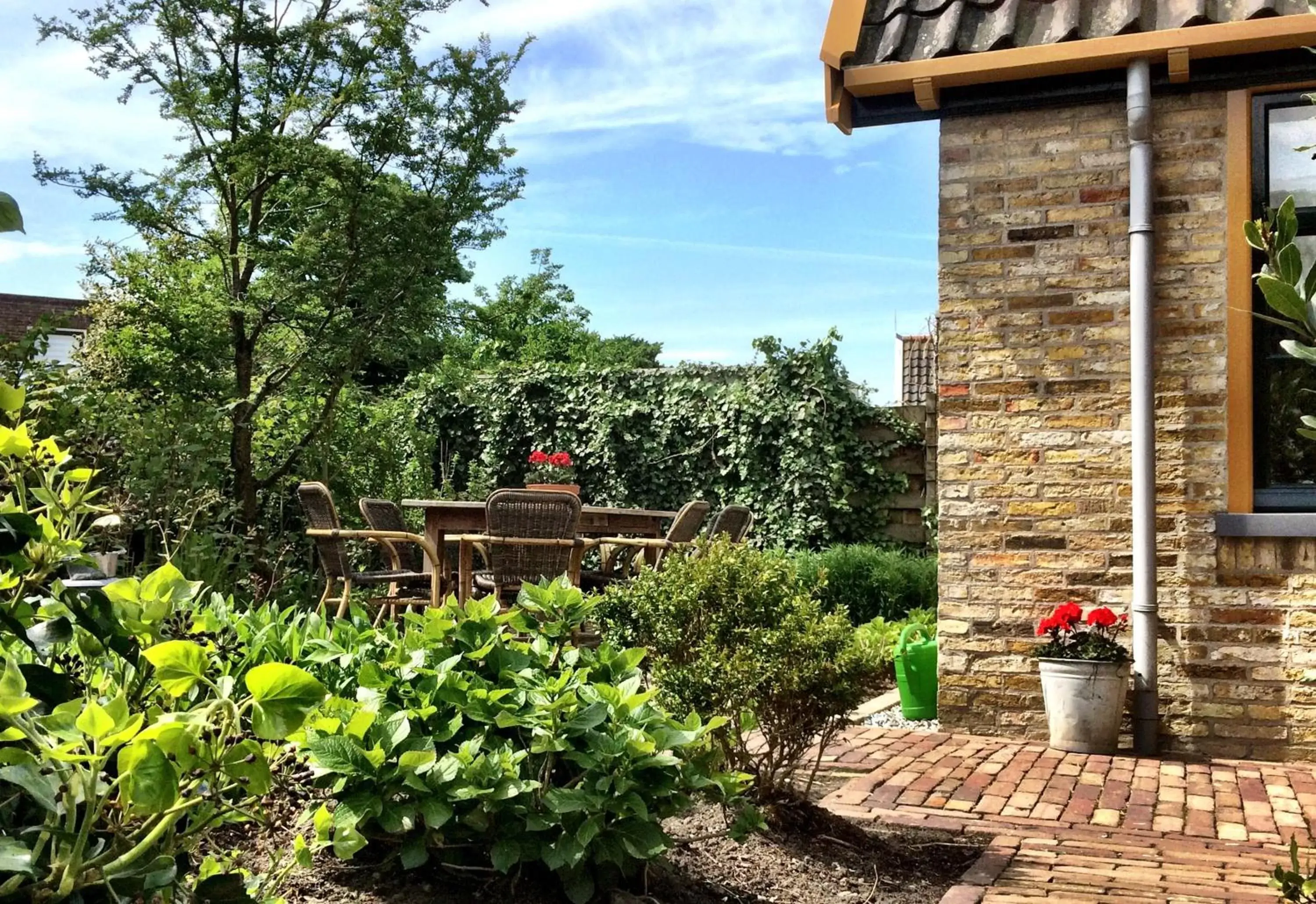 Garden in Hotel West Inn