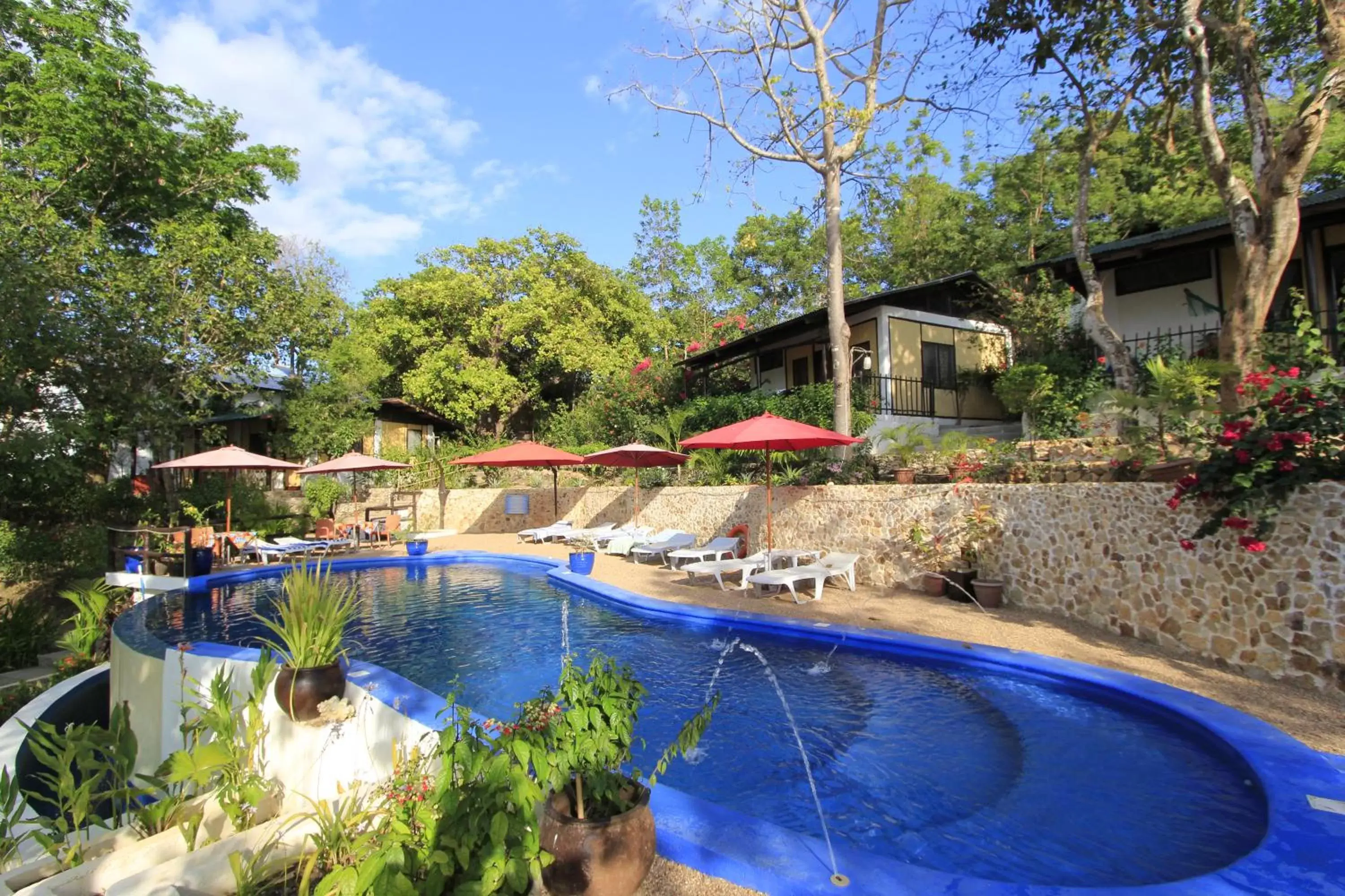 Swimming pool in Discovery Island Resort Swimming pool in Discovery Island Resort
