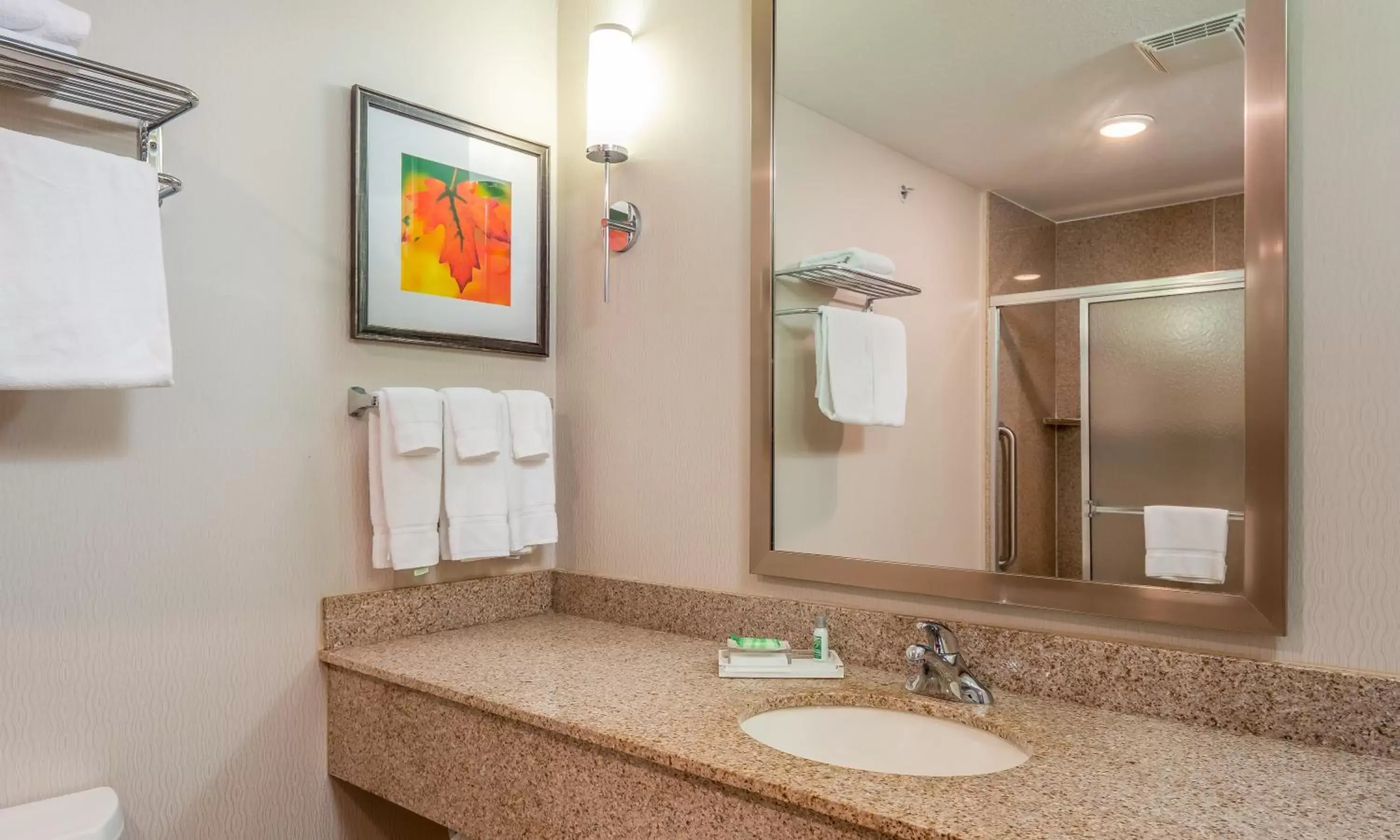 Bathroom in Holiday Inn Stevens Point - Convention Center, an IHG Hotel
