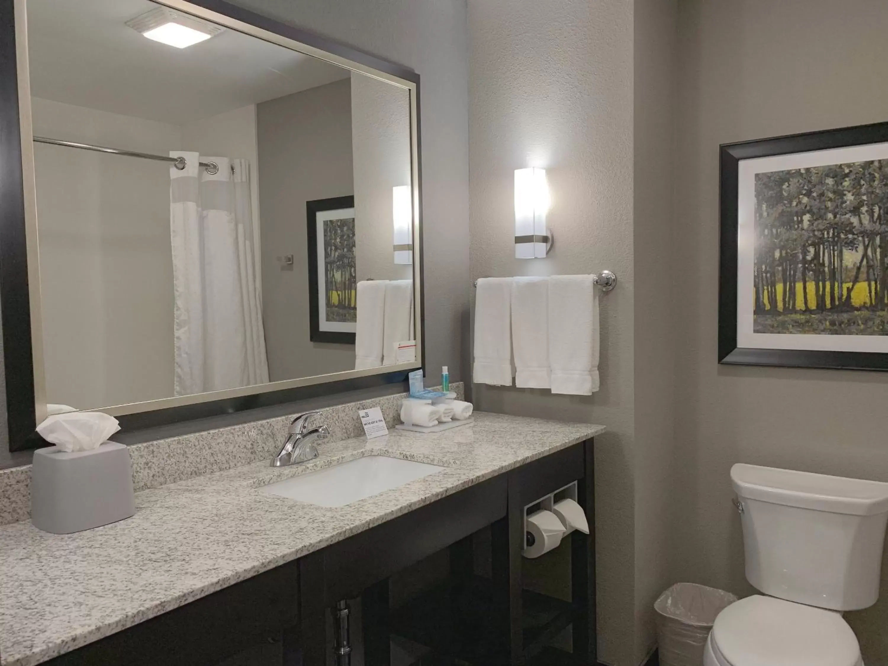 Bathroom in Holiday Inn Express and Suites Madison Central, an IHG Hotel