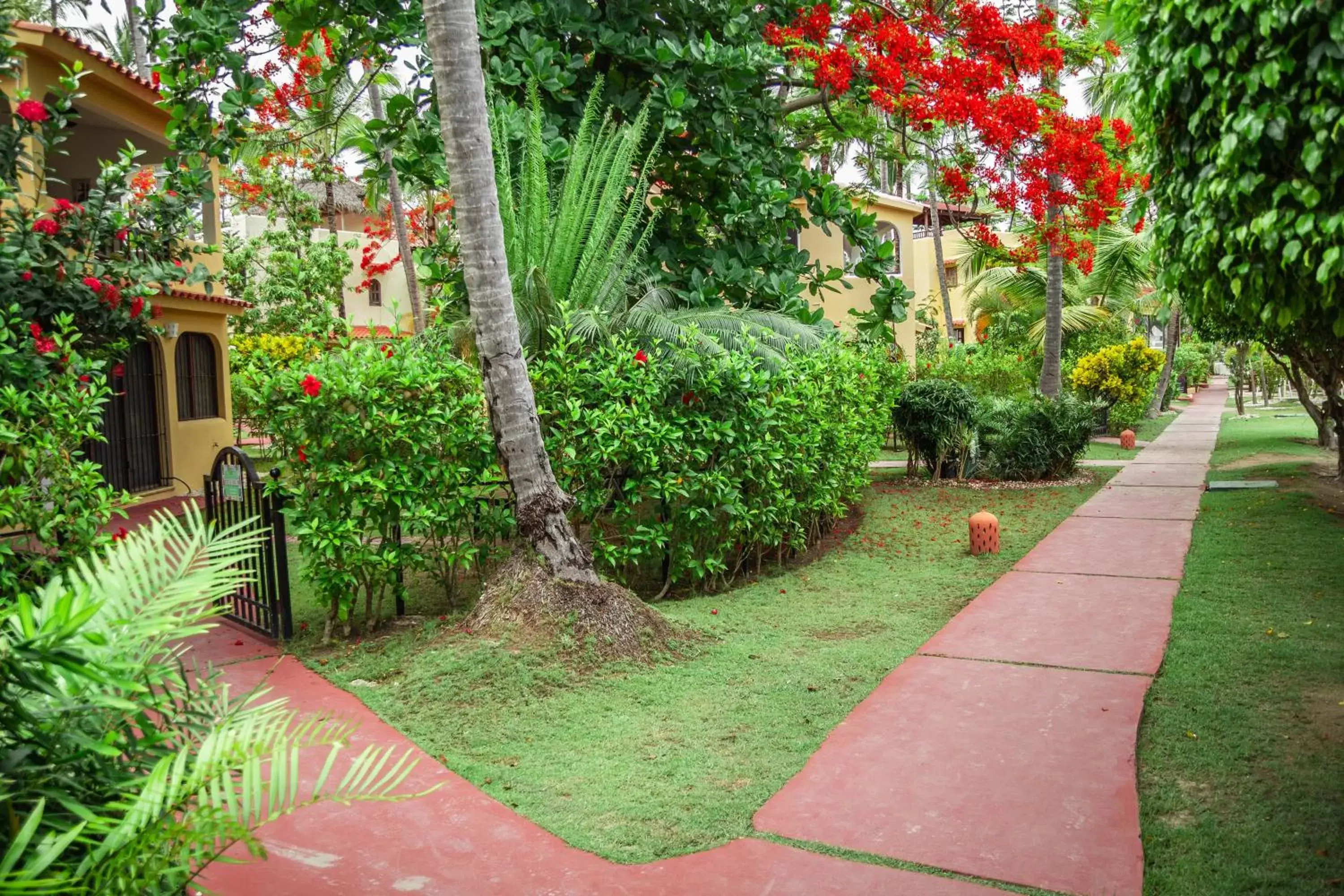 Patio, Garden in Los Corales Beach Village