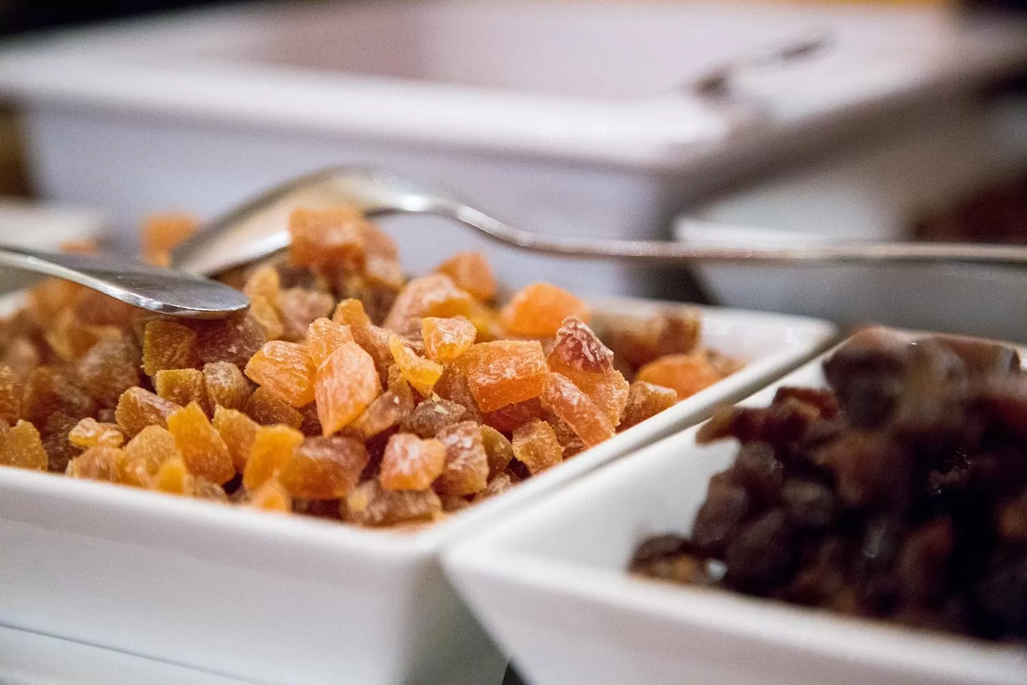 Enjoy 1313AG Hotel Touring