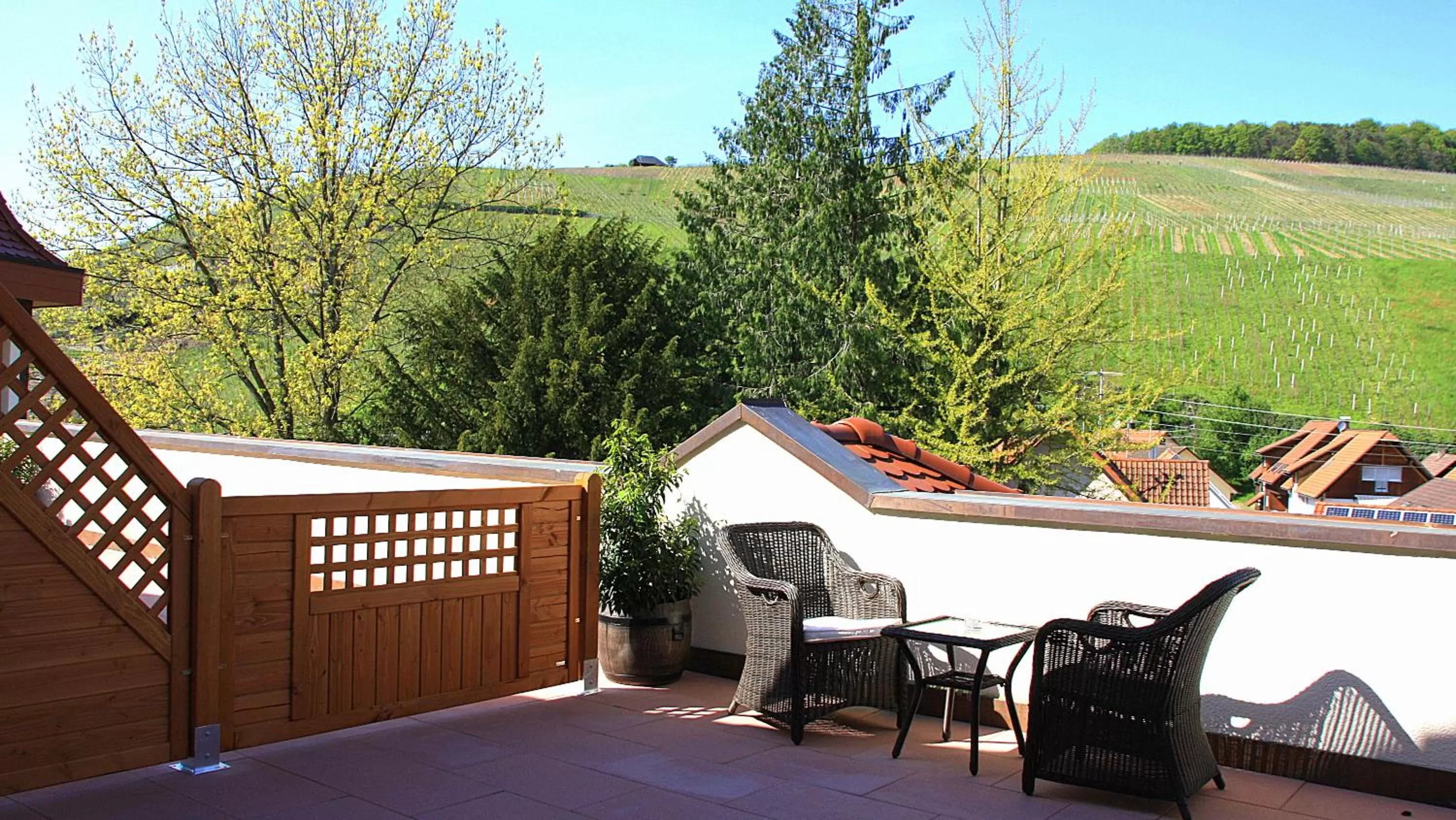 Balcony/Terrace in Hotel Rebstock