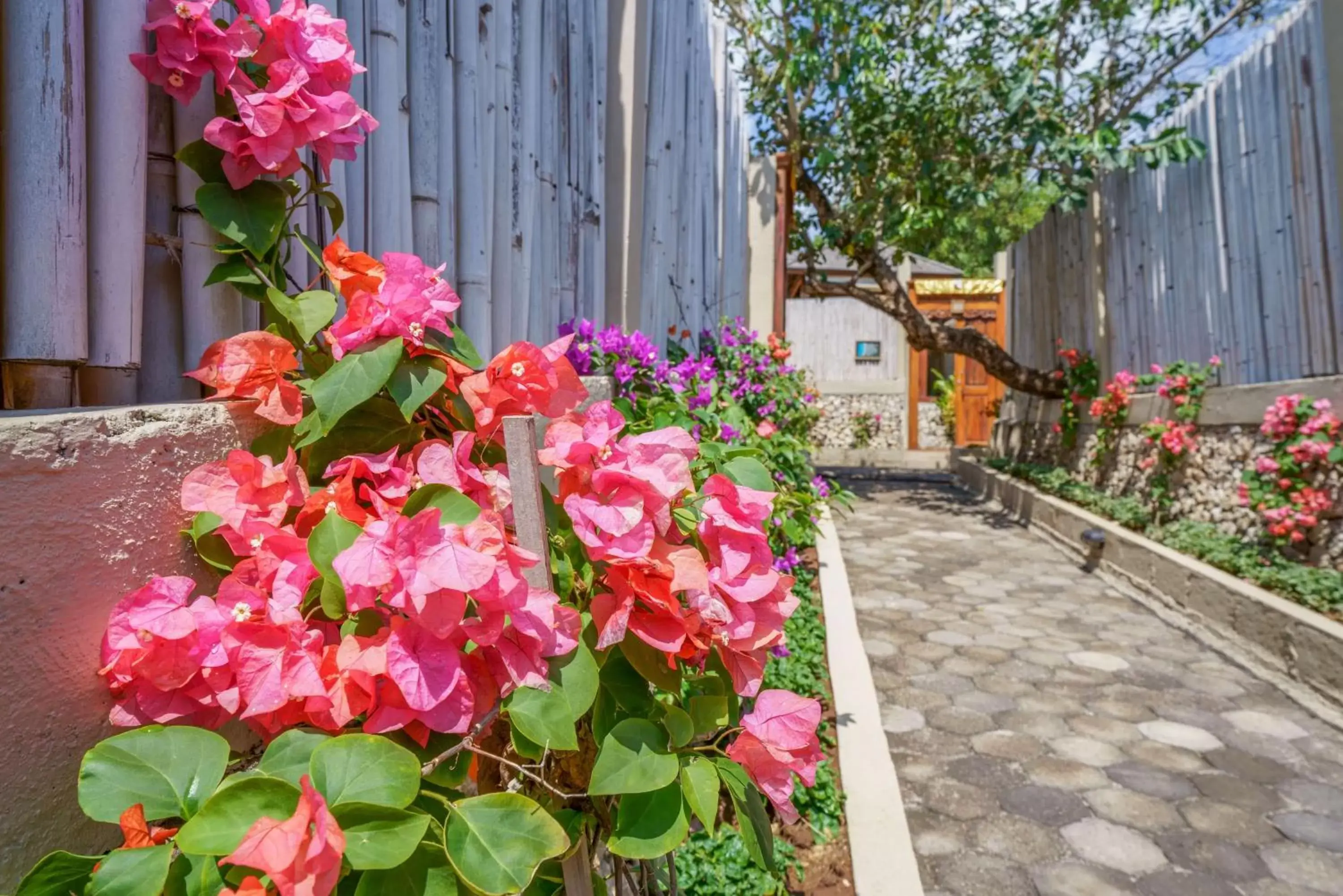 Patio, Garden in Blue Lagoon Avia Villas