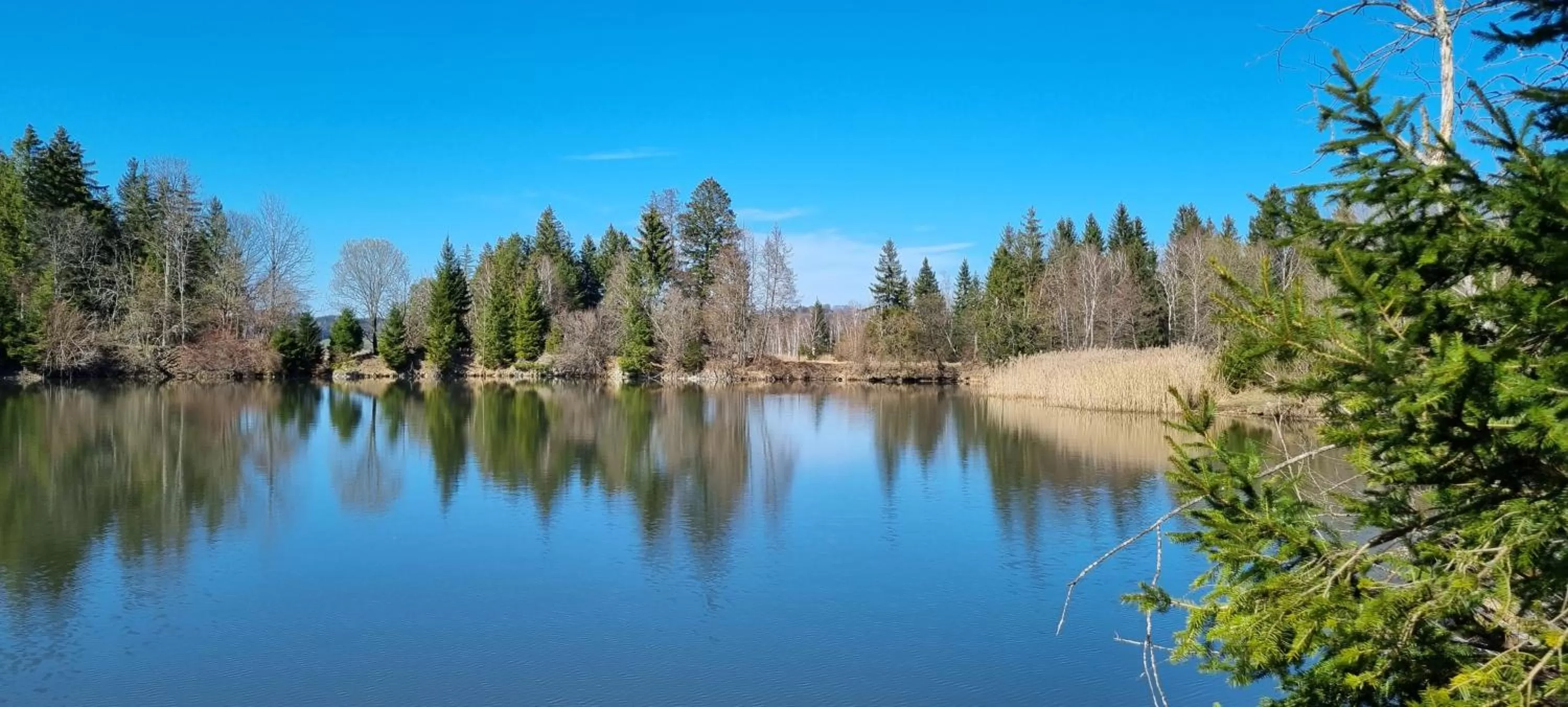 Nearby landmark in Boutique Hotel Angerer