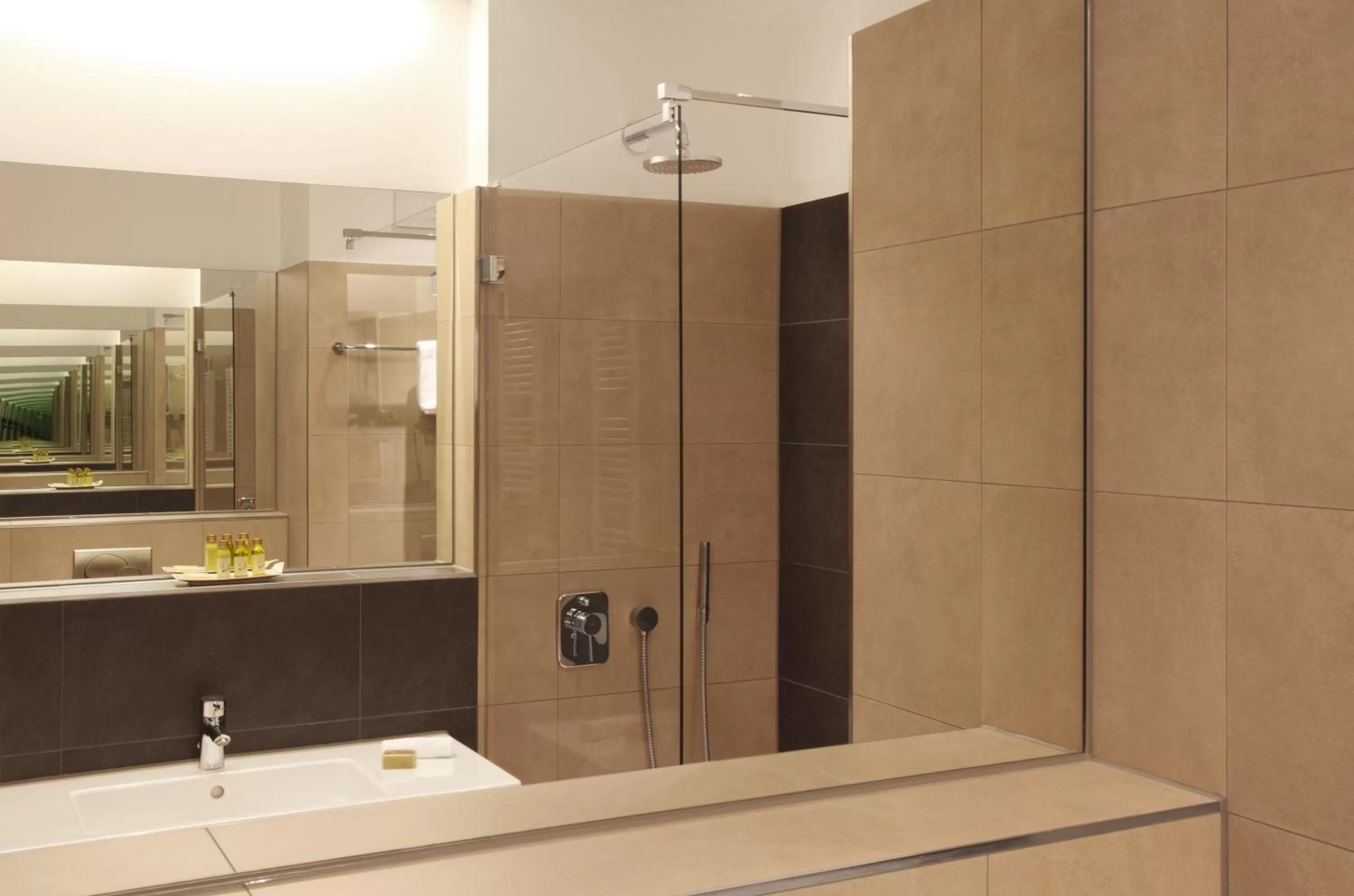 Shower in Hotel Otterbach