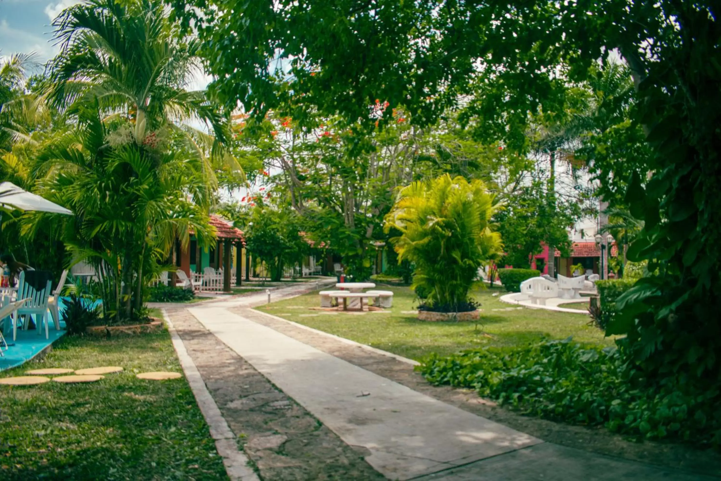 Garden in Hotel Hacienda Sánchez