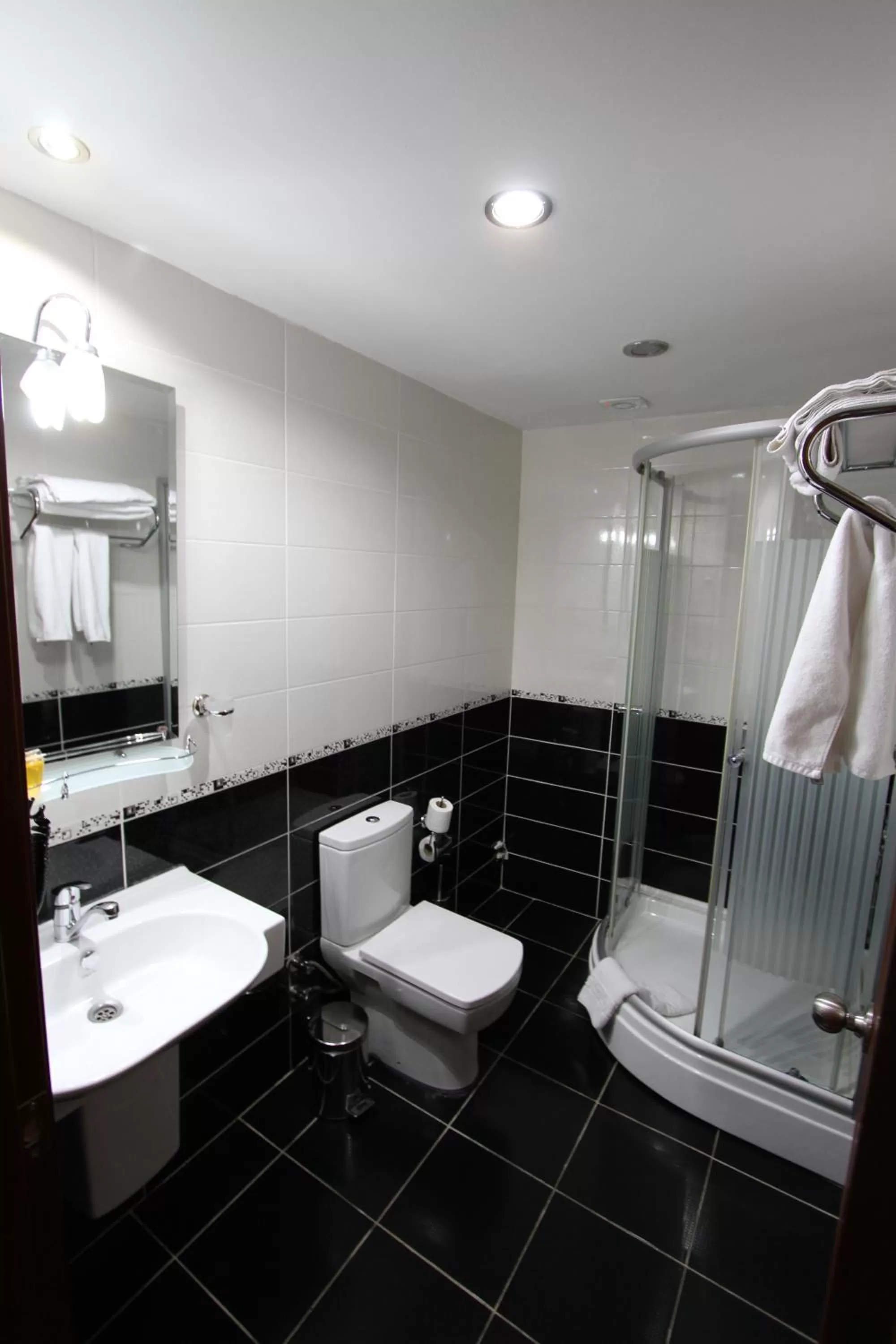 Toilet in Basileus Hotel