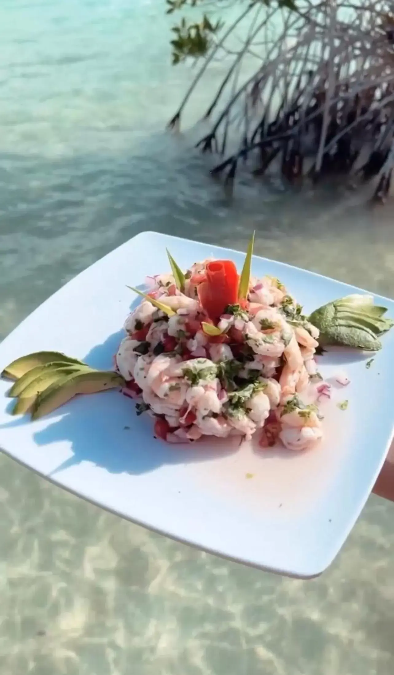 Food in Hotel Wayak Bacalar