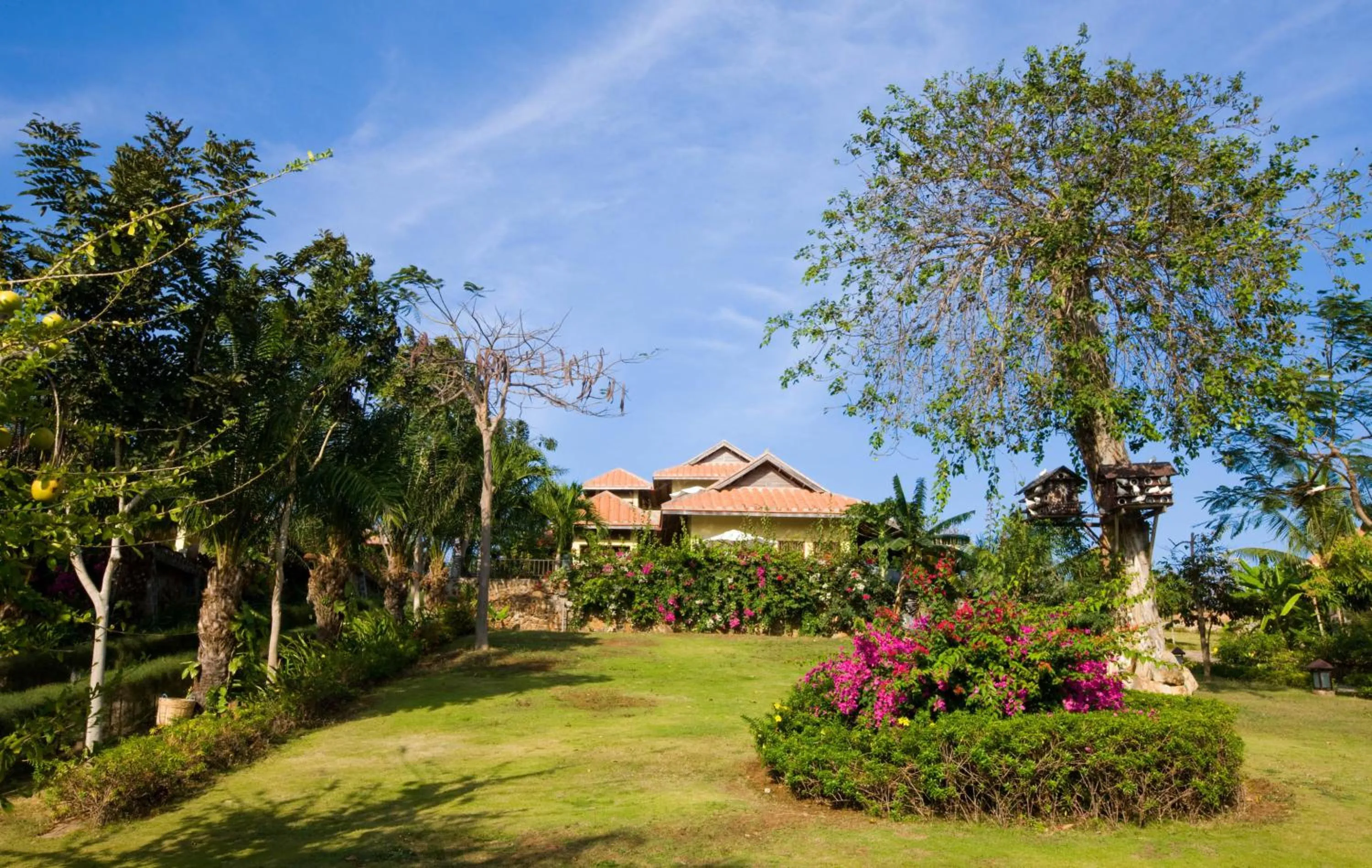 Garden in Romana Resort & Spa