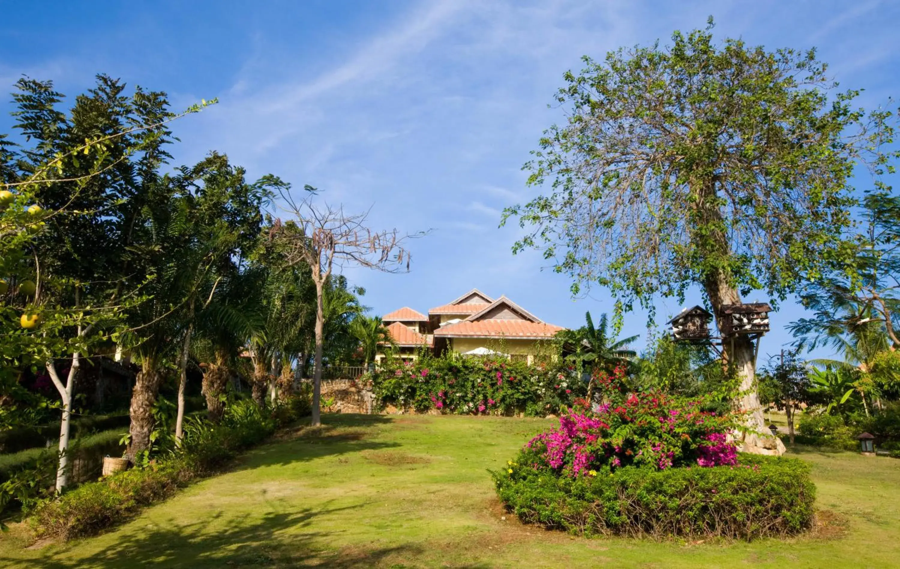 Garden, Property Building in Romana Resort & Spa