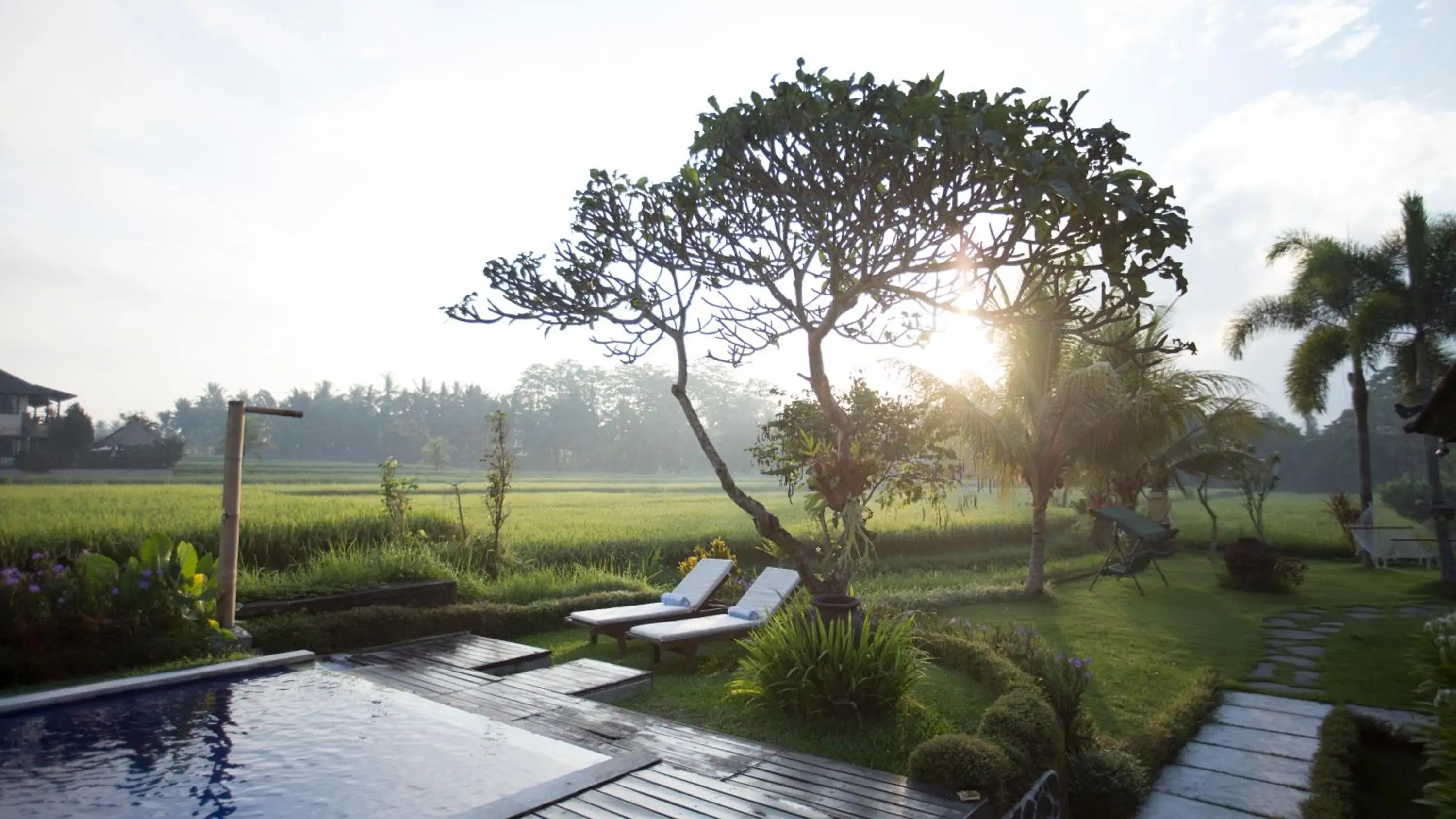 Garden in The Samara Villas & Restaurant