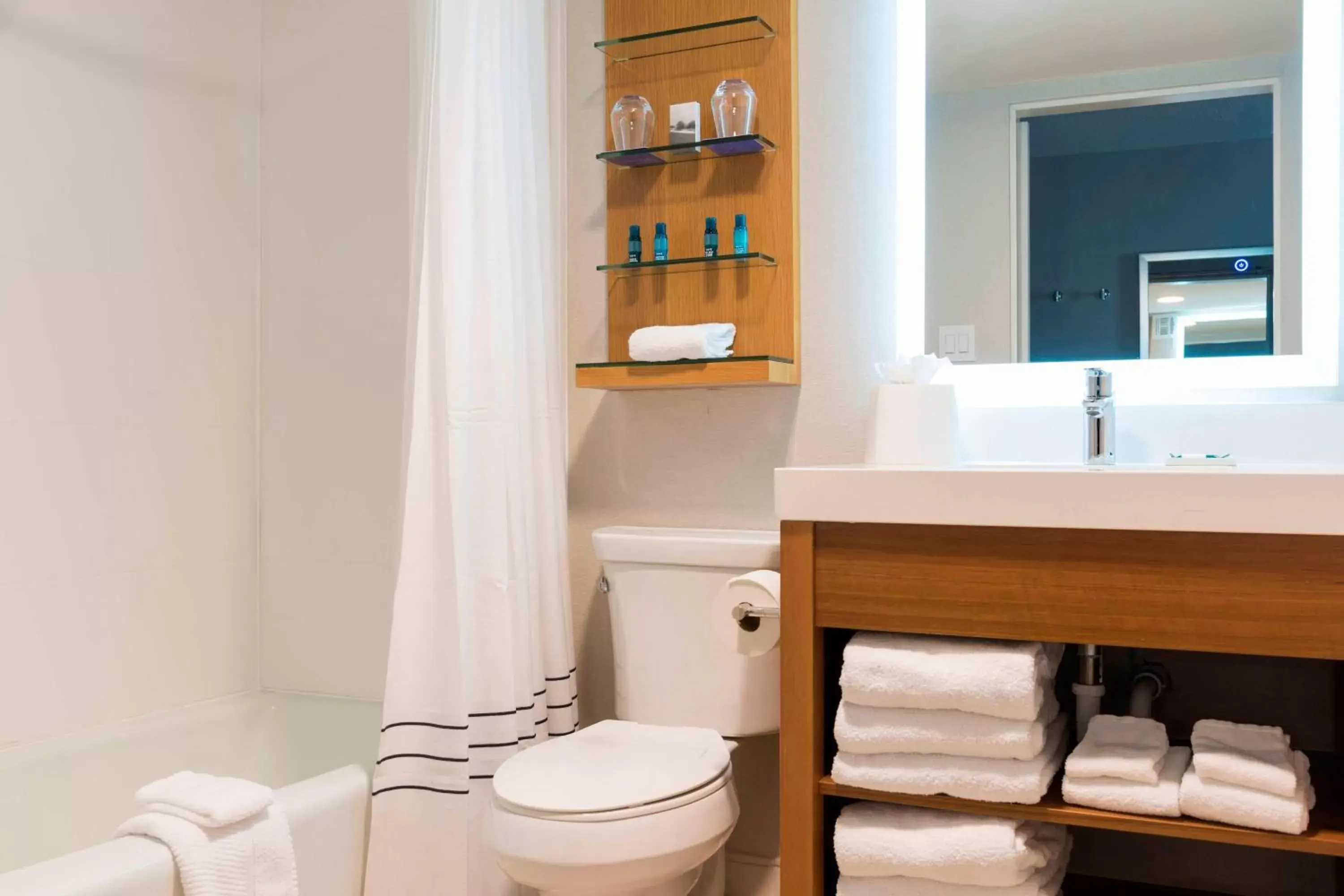 Bathroom in Delta Hotels by Marriott Grand Rapids Airport