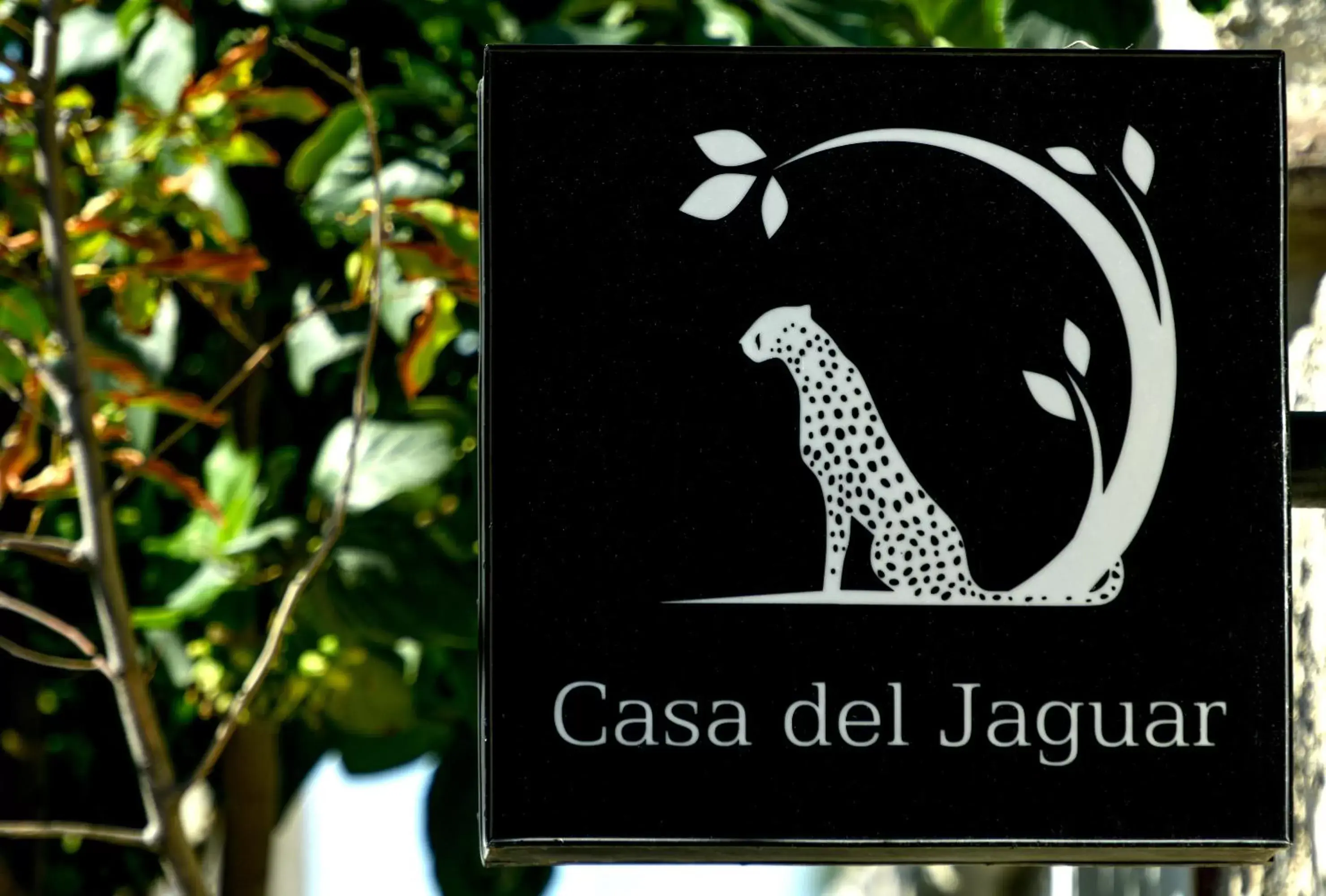 Property Logo/Sign in Casa del Jaguar Beach Hotel