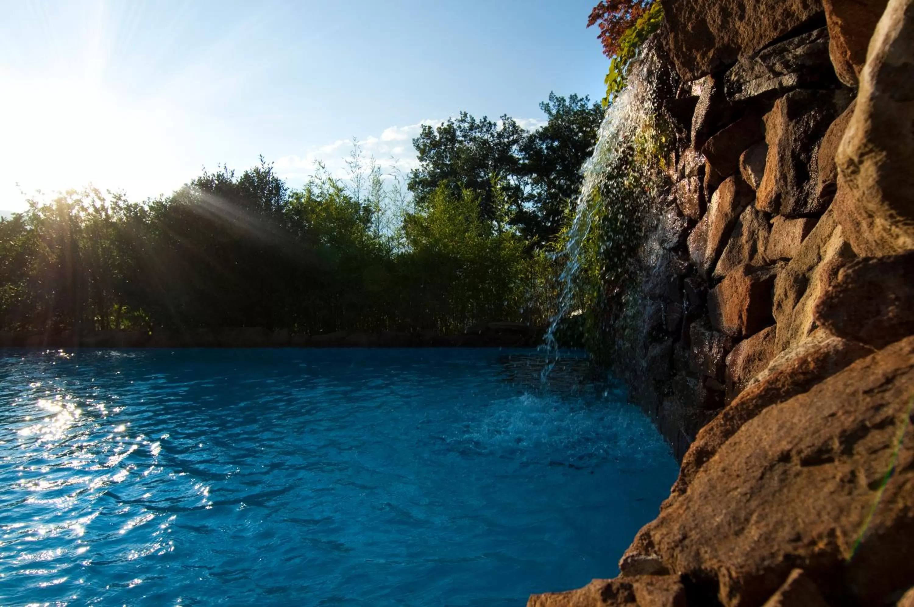 Garden in Gartenresidence Stephanie by Hotel Rotwand