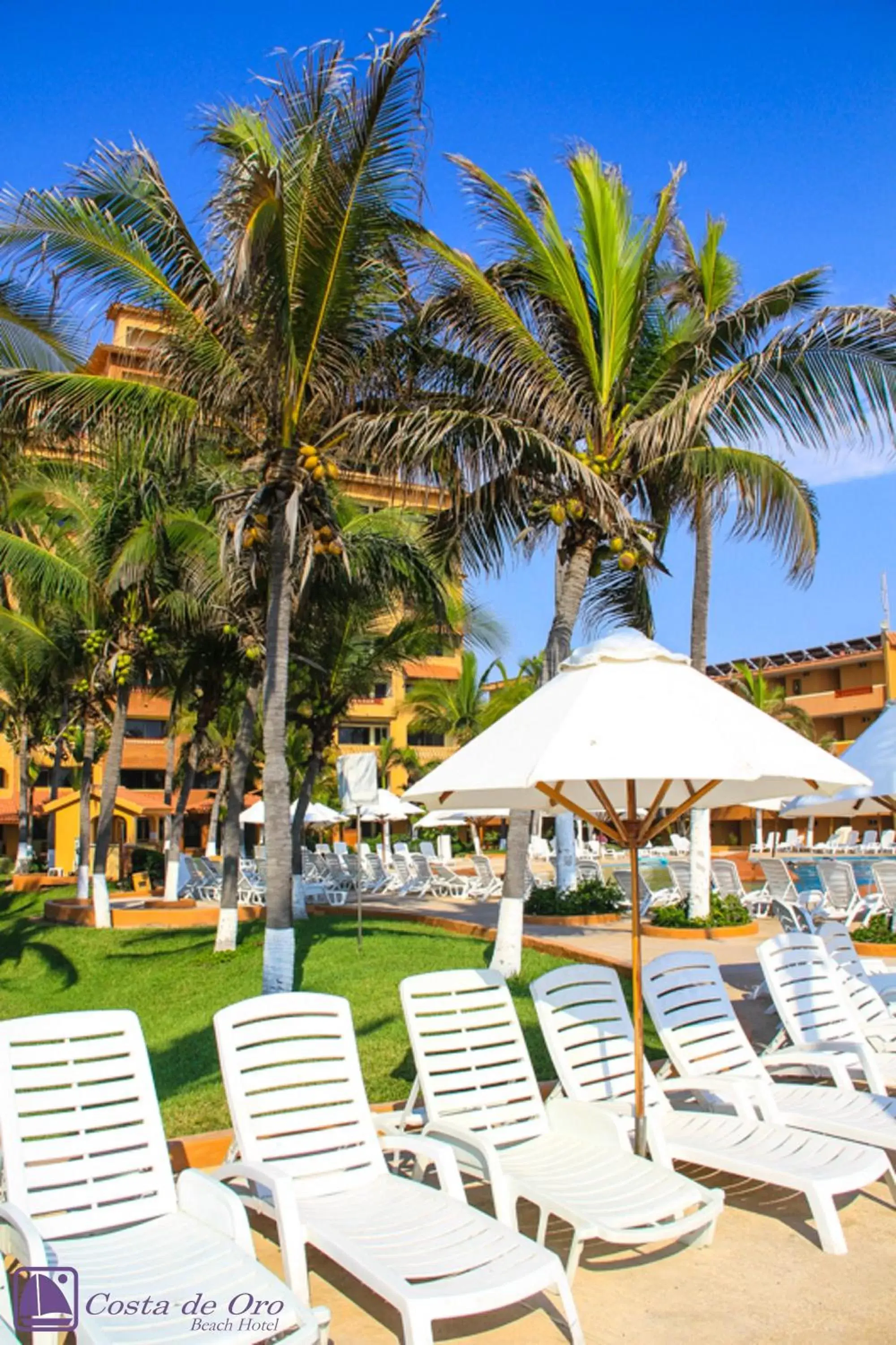 Garden, Swimming Pool in Costa de Oro Beach Hotel