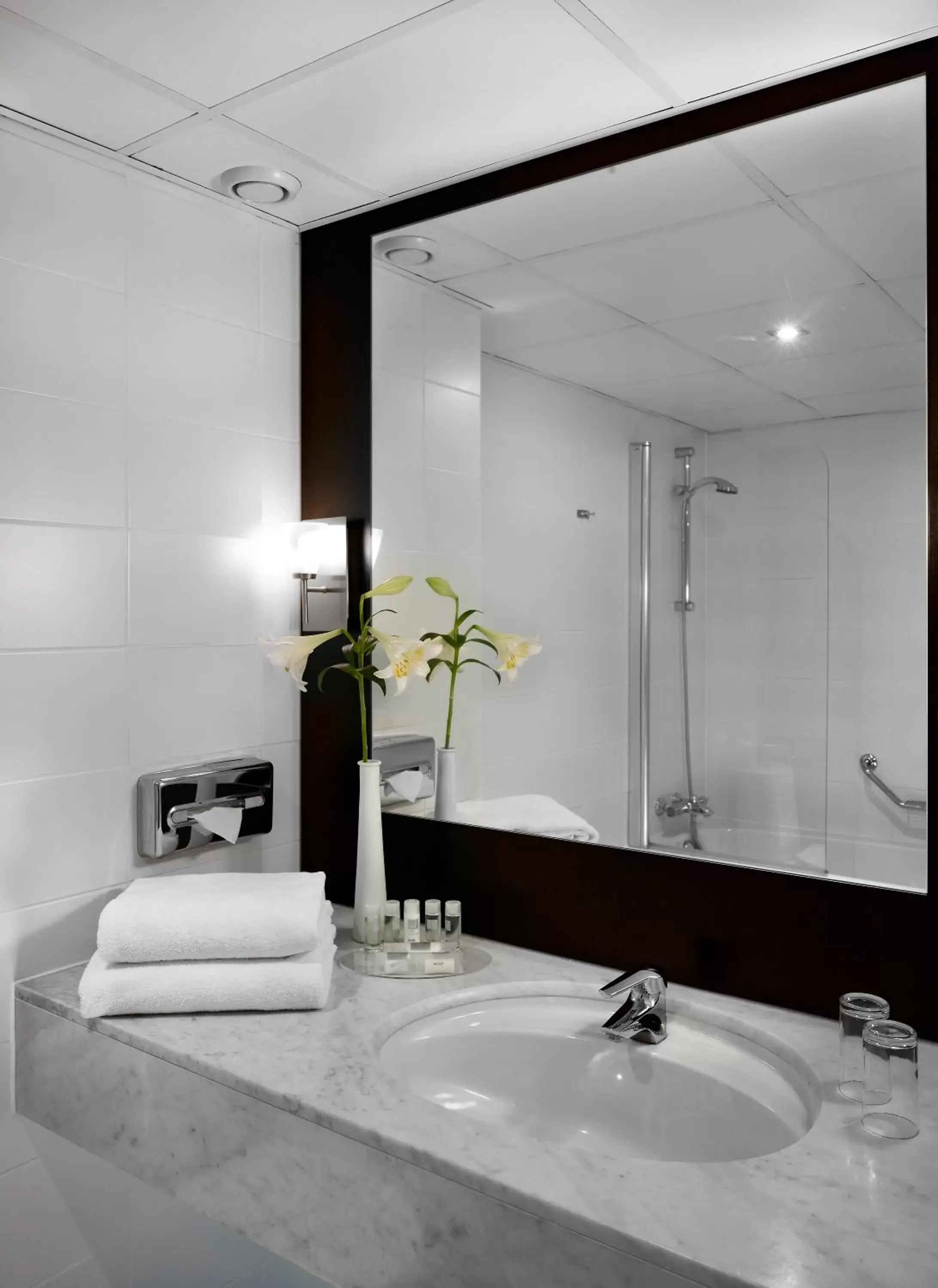 Bathroom in Park Plaza Eindhoven