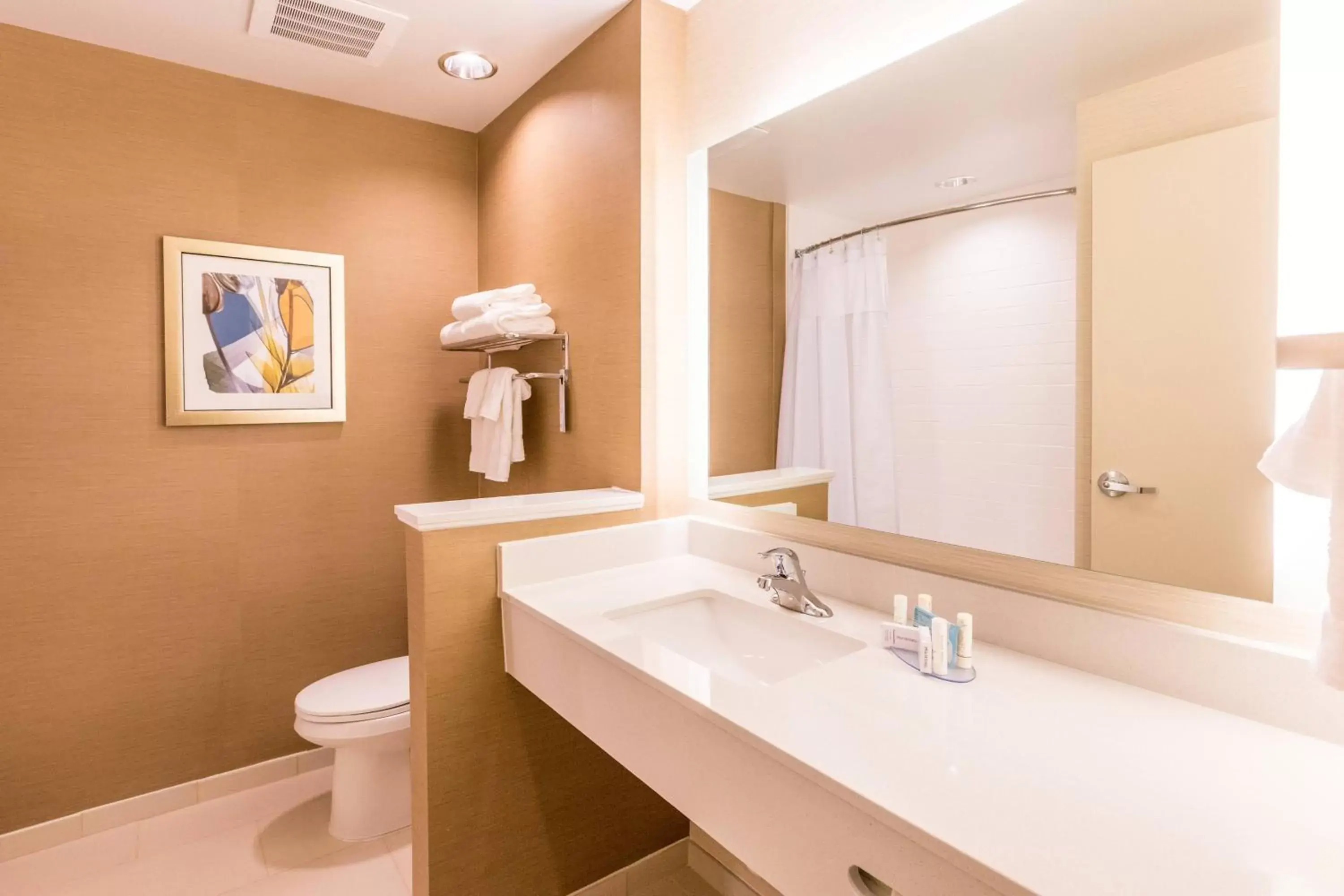 Bathroom in Fairfield Inn & Suites by Marriott Atlanta Acworth