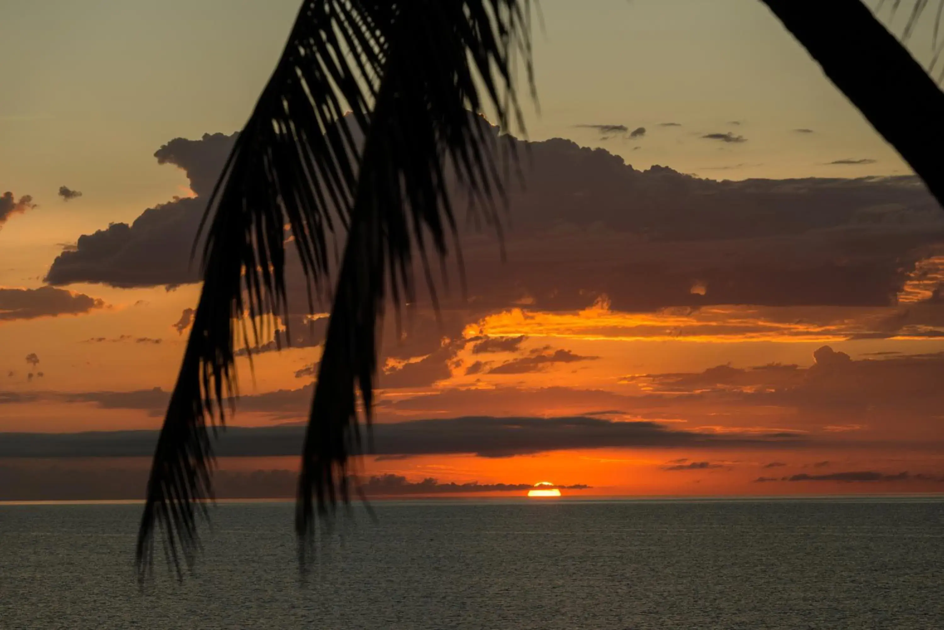 Beach, Sunrise/Sunset in Thala Beach Nature Reserve