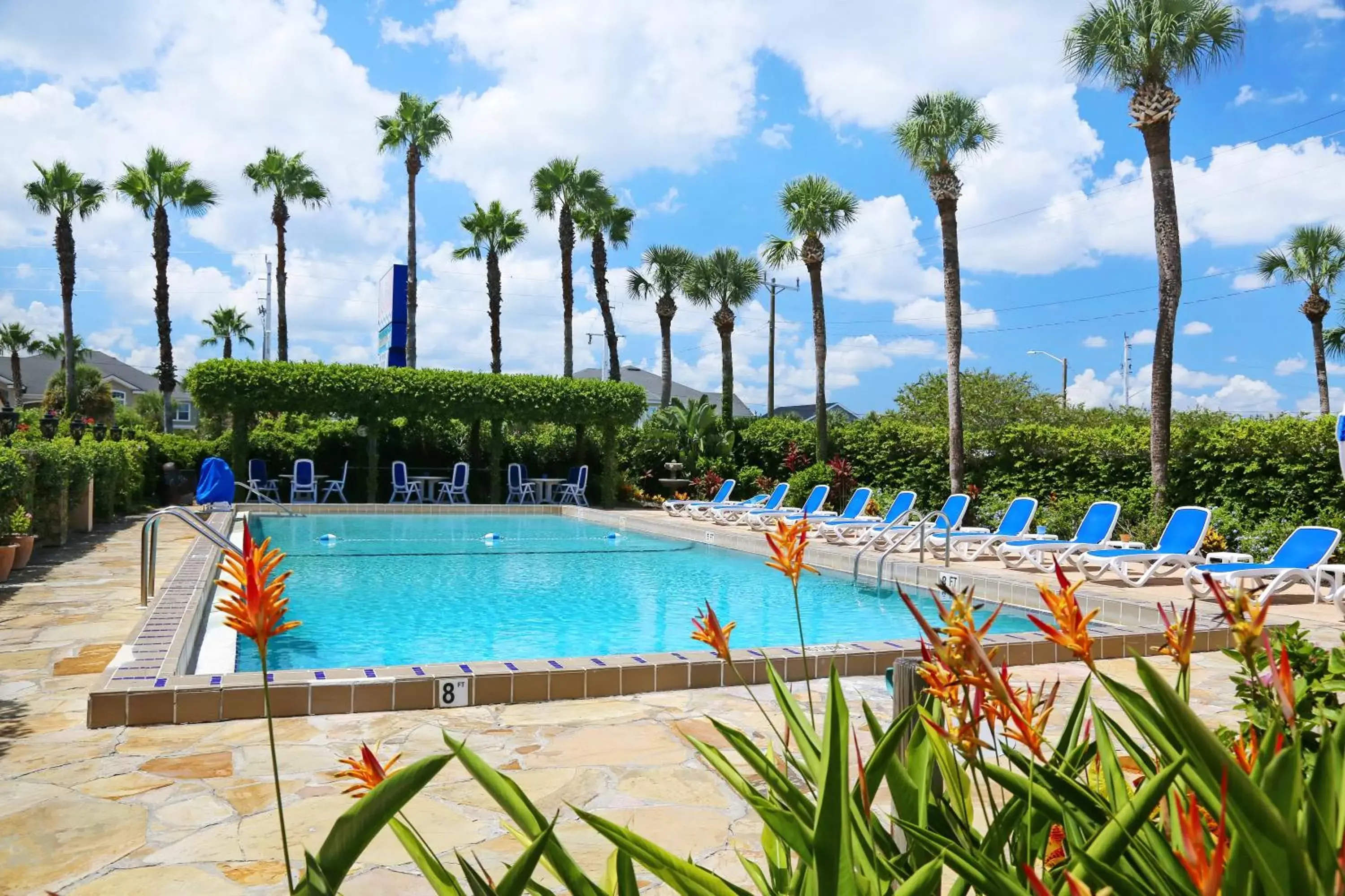 Swimming Pool in La Fiesta Ocean Inn & Suites