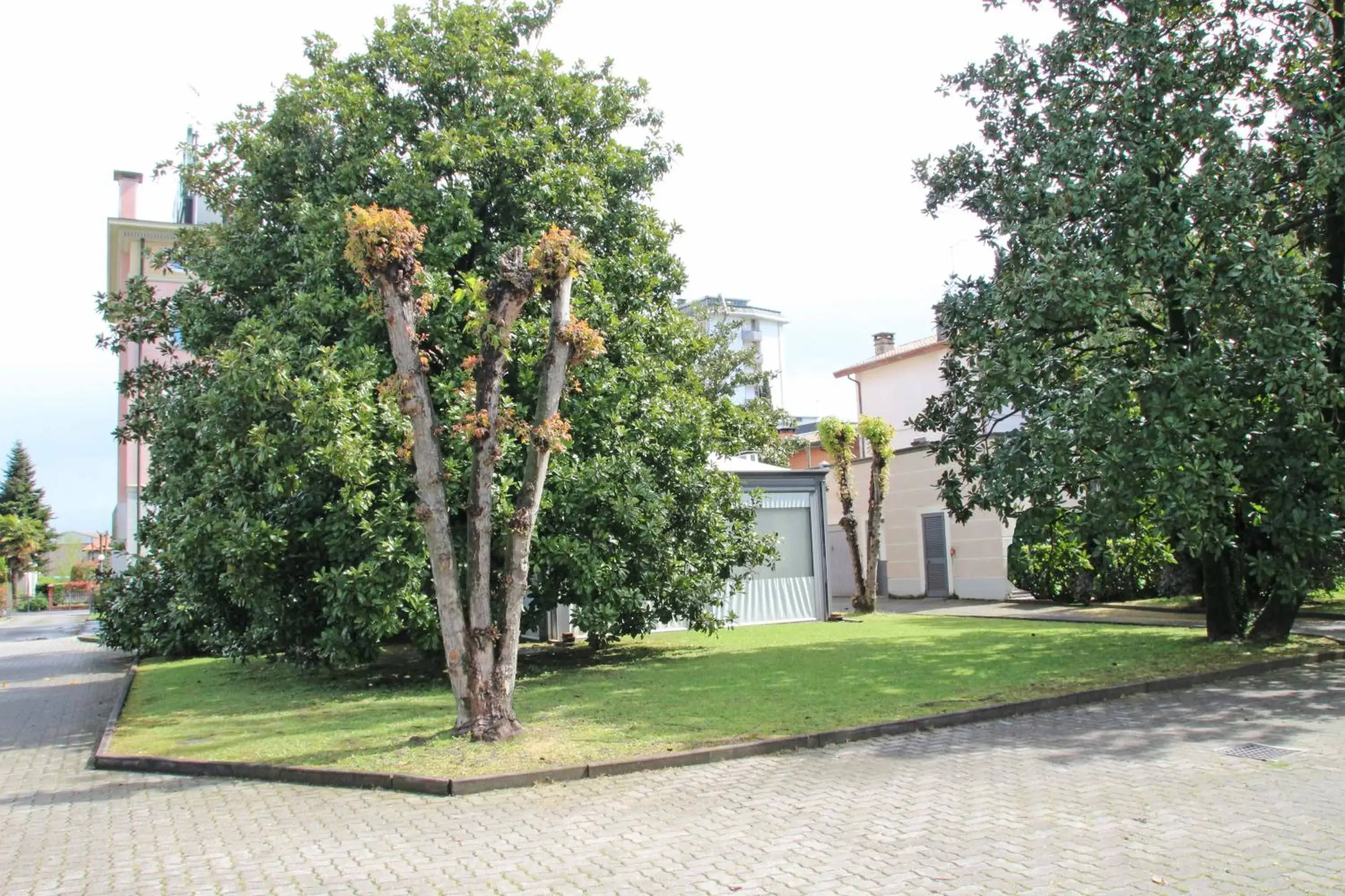 Garden, Property Building in Park Hotel Villa Leon d'Oro