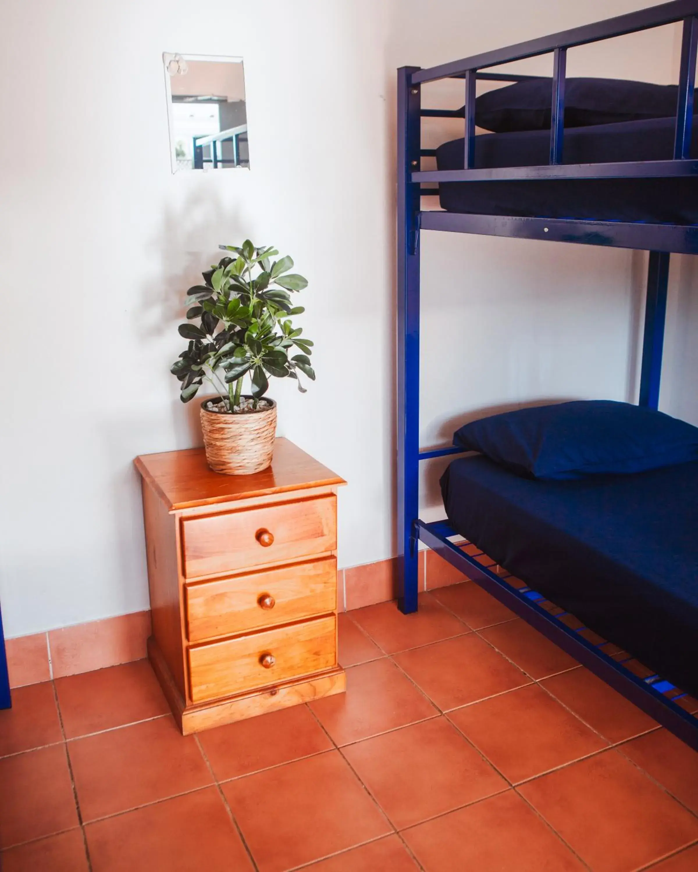 bunk bed in Budds In Surfers Backpackers