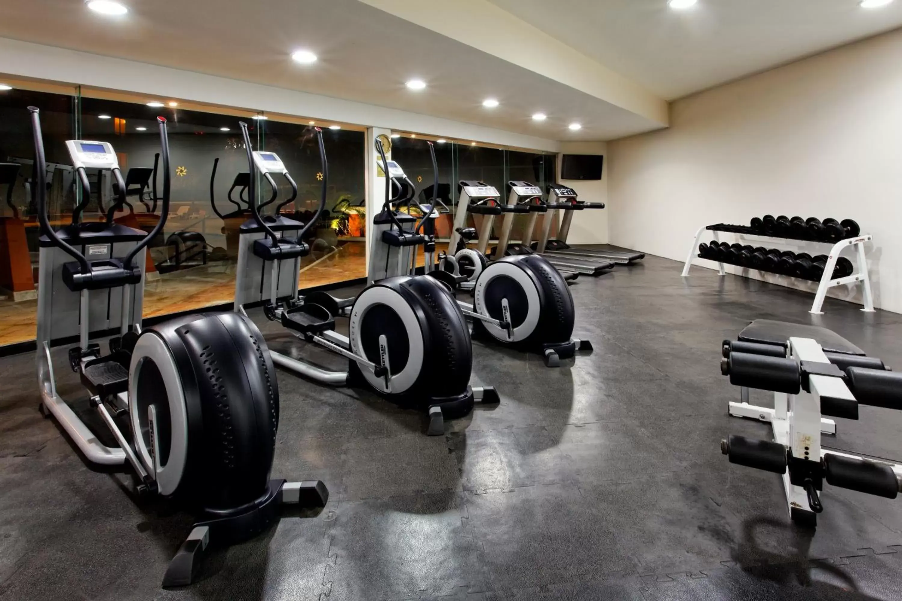 Fitness centre/facilities, Fitness Center/Facilities in Holiday Inn Merida, an IHG Hotel