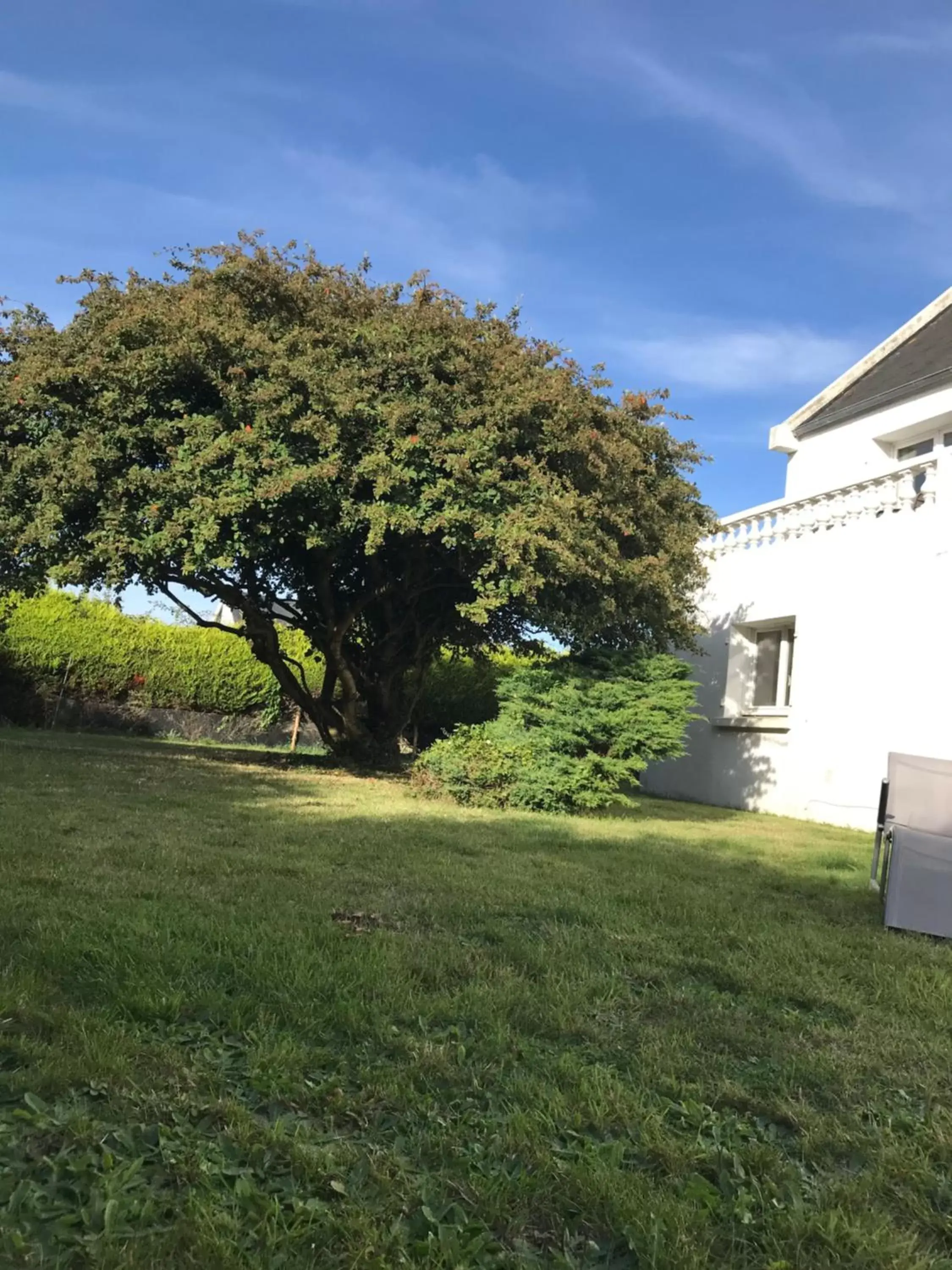 Garden in CHAMBRE D'HOTES KER BEL LEUR