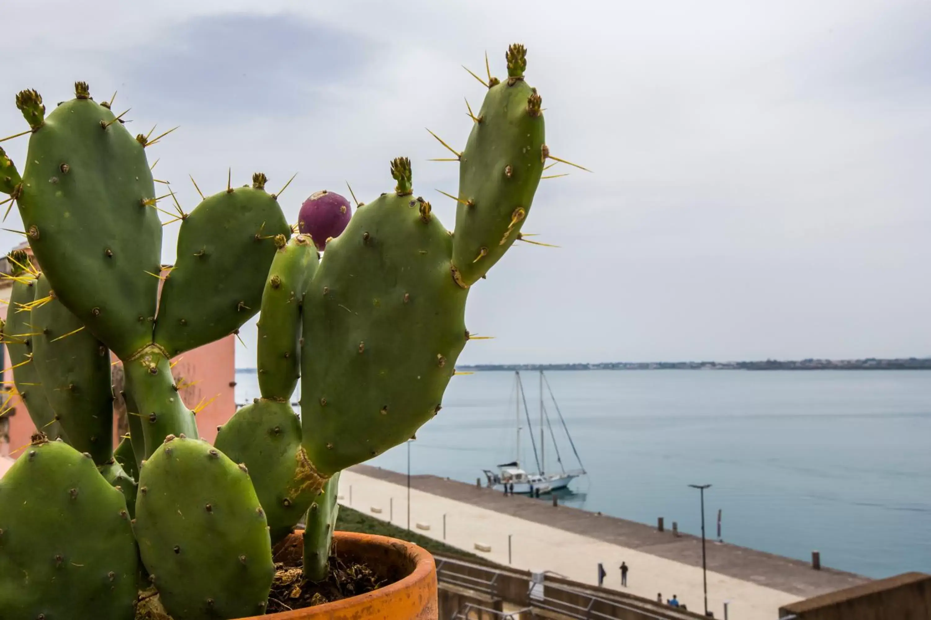 Spring in Palazzo Giunta - Porta Marina Ortigia