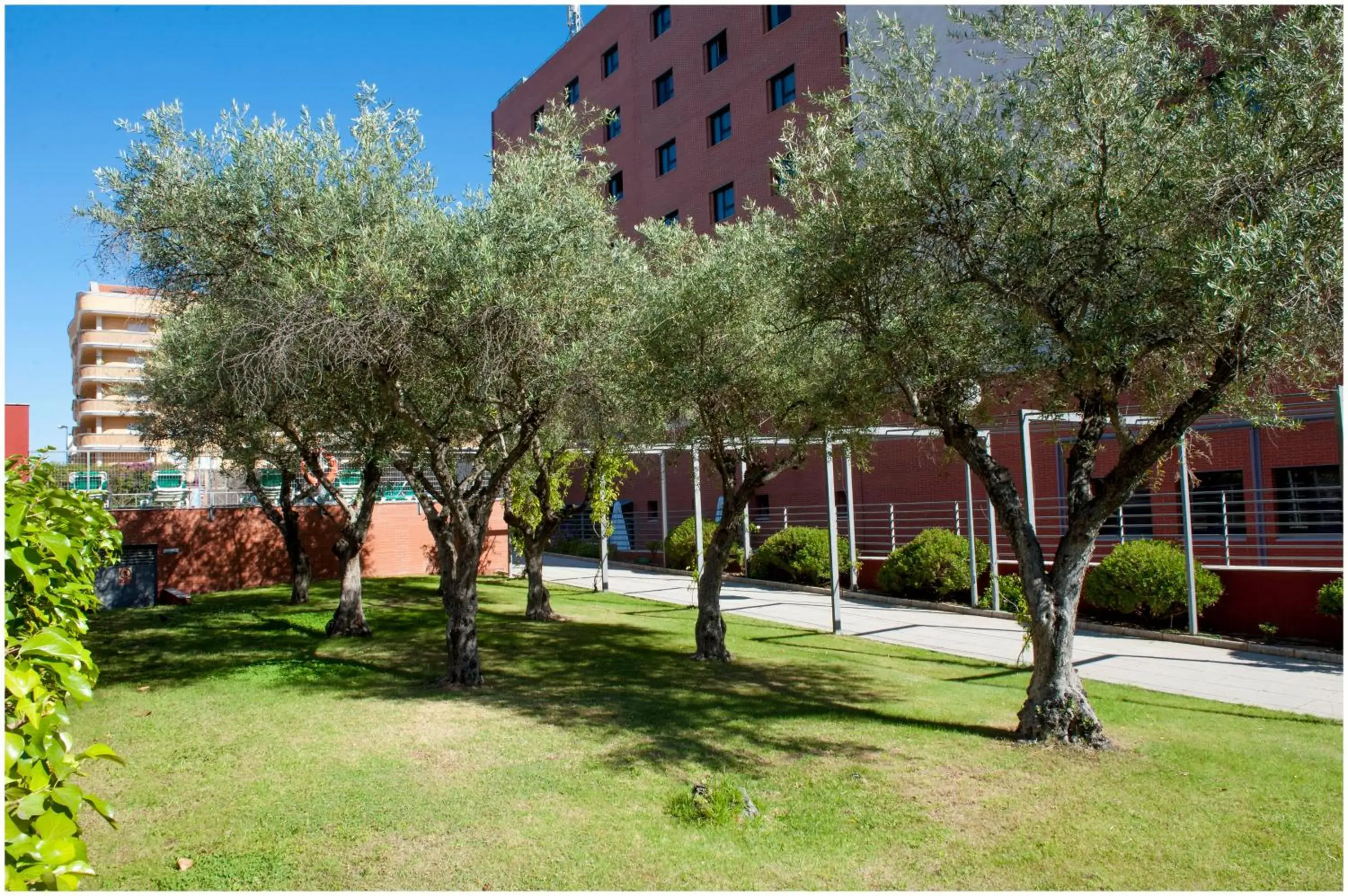 Garden in Extremadura Hotel