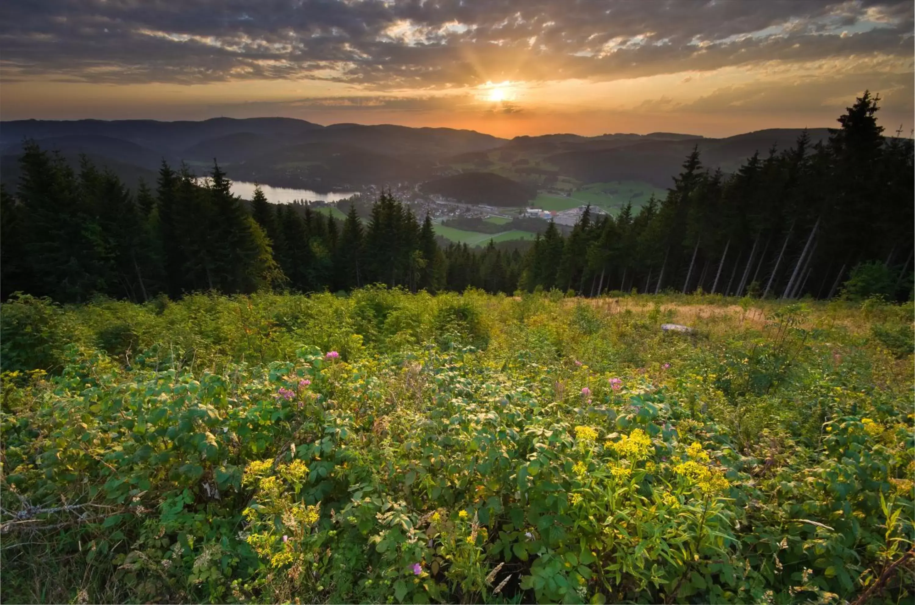 Nearby landmark, Natural Landscape in Hotel Hofgut Sternen